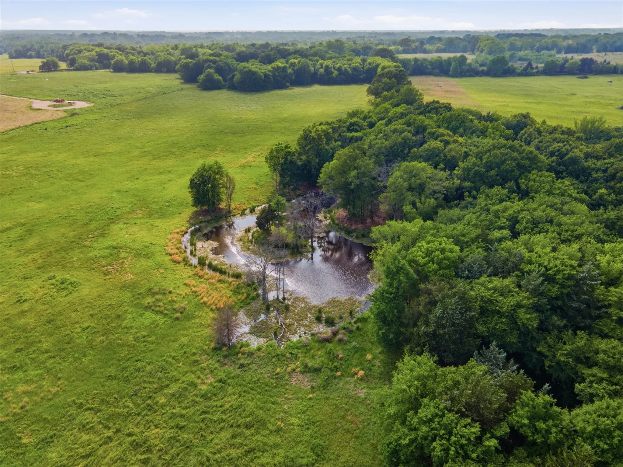 Improved Land For Sale in Titus County , 000 CR 1330, Mt Pleasant, Texas 75455, 0, 0, Garage spaces, 0 Sqft, built in 0, mls#21262801, Real Estate Agent in Mt Pleasant, Homes For Sale in Titus county, Homes For Sale in Mt Pleasant, Realtor in Mt Pleasant Texas, Real Estate Brokerage Independent Realty Texas, Luminita Cordes Realtor