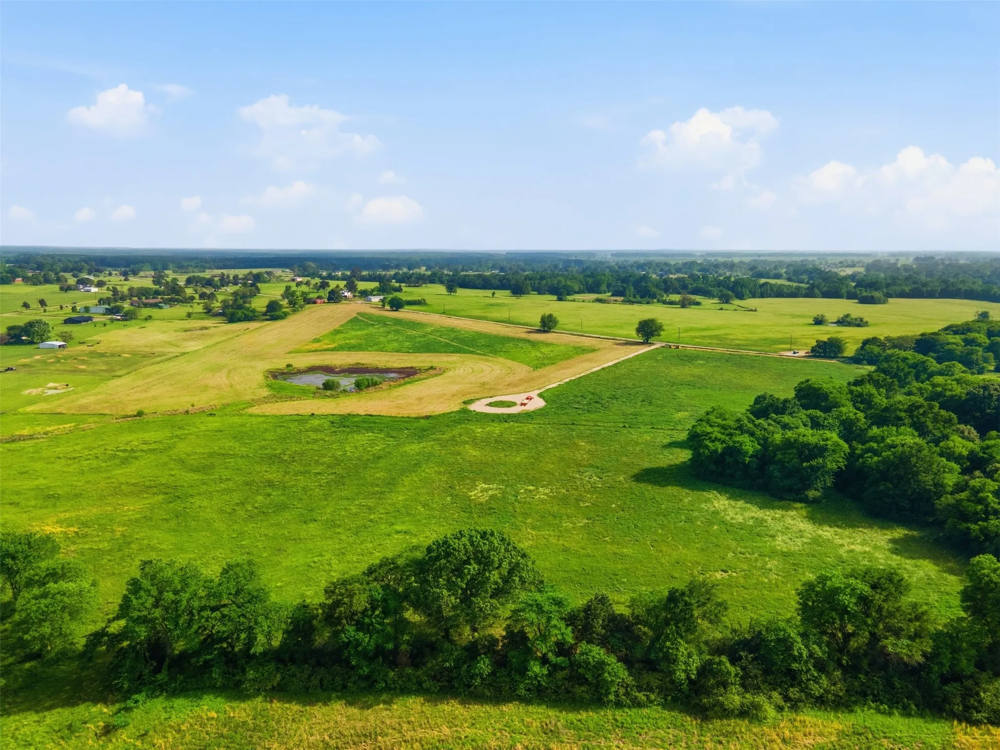 Improved Land For Sale in Titus County , 000 CR 1330, Mt Pleasant, Texas 75455, 0, 0, Garage spaces, 0 Sqft, built in 0, mls#21262801, Real Estate Agent in Mt Pleasant, Homes For Sale in Titus county, Homes For Sale in Mt Pleasant, Realtor in Mt Pleasant Texas, Real Estate Brokerage Independent Realty Texas, Luminita Cordes Realtor