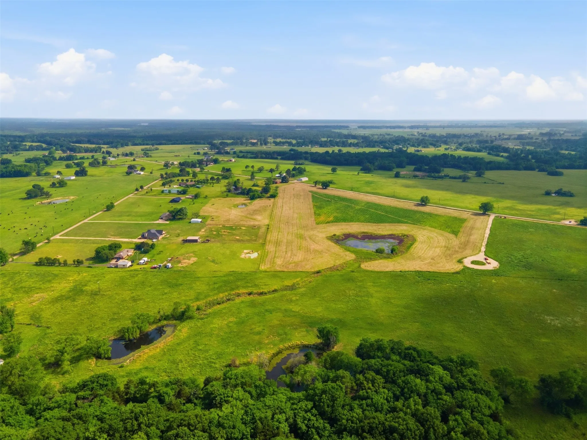 Improved Land For Sale in Titus County , 000 CR 1330, Mt Pleasant, Texas 75455, 0, 0, Garage spaces, 0 Sqft, built in 0, mls#21262801, Real Estate Agent in Mt Pleasant, Homes For Sale in Titus county, Homes For Sale in Mt Pleasant, Realtor in Mt Pleasant Texas, Real Estate Brokerage Independent Realty Texas, Luminita Cordes Realtor