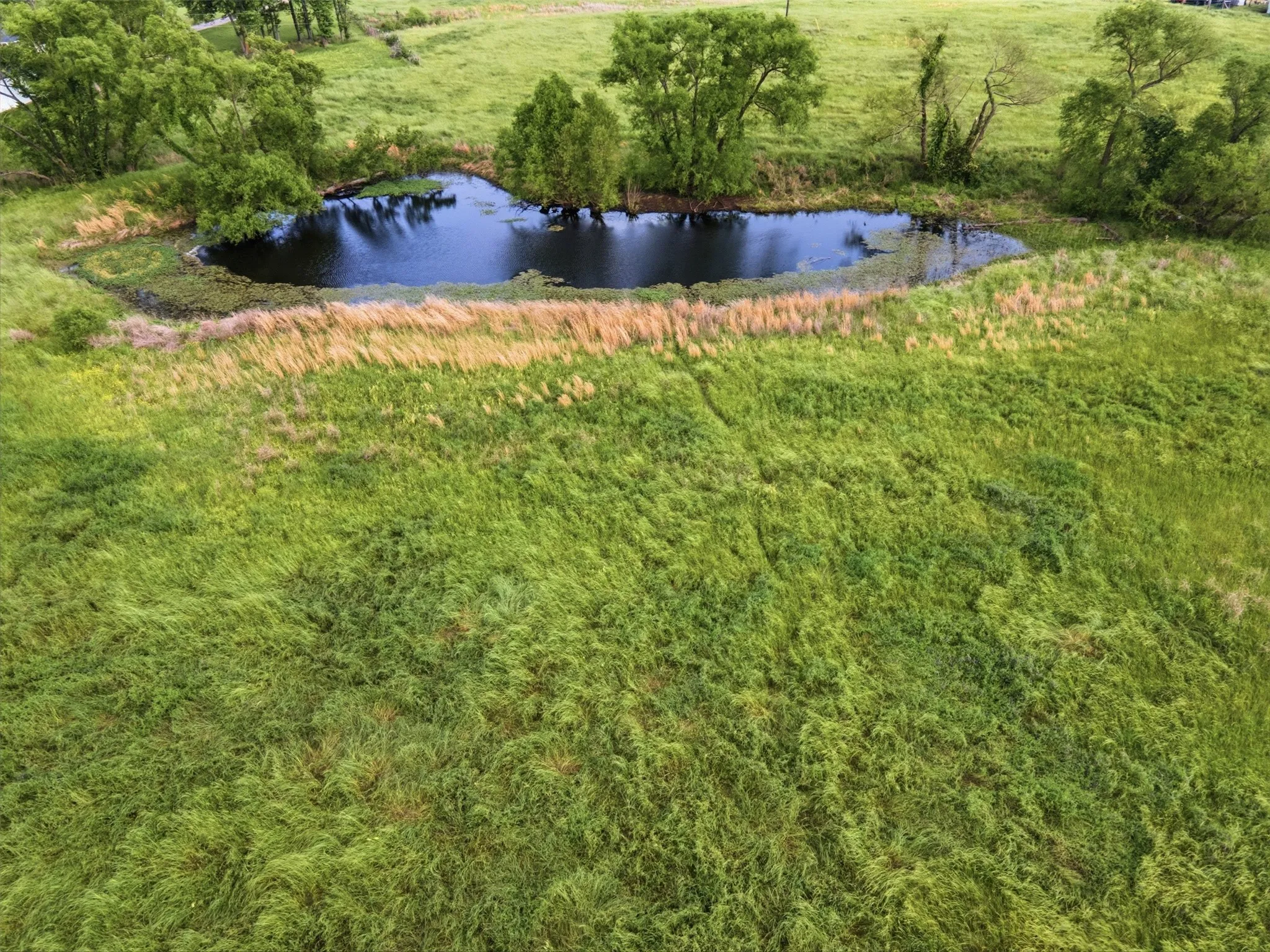 Improved Land For Sale in Titus County , 000 CR 1330, Mt Pleasant, Texas 75455, 0, 0, Garage spaces, 0 Sqft, built in 0, mls#21262801, Real Estate Agent in Mt Pleasant, Homes For Sale in Titus county, Homes For Sale in Mt Pleasant, Realtor in Mt Pleasant Texas, Real Estate Brokerage Independent Realty Texas, Luminita Cordes Realtor