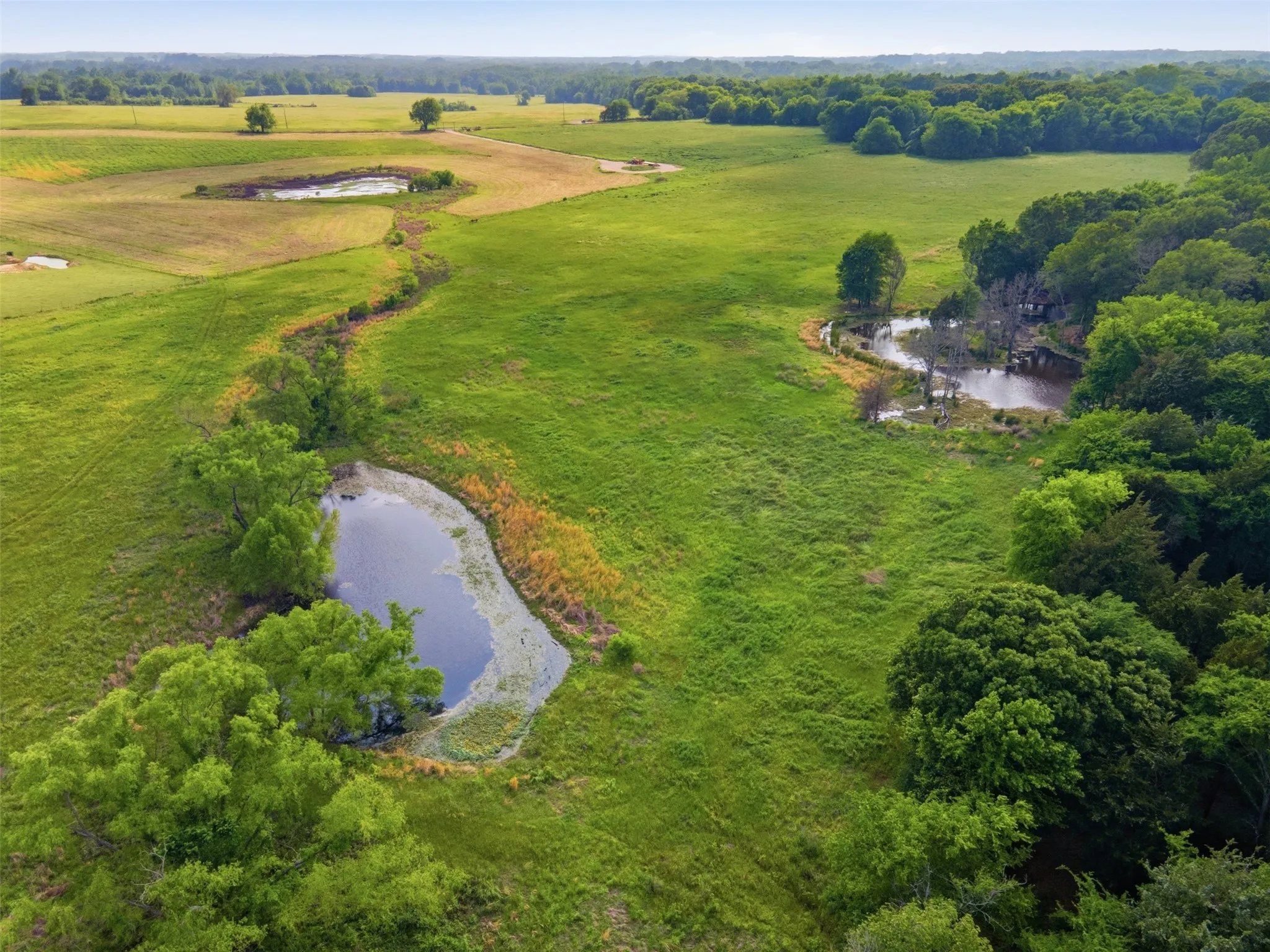 Improved Land For Sale in Titus County , 000 CR 1330, Mt Pleasant, Texas 75455, 0, 0, Garage spaces, 0 Sqft, built in 0, mls#21262801, Real Estate Agent in Mt Pleasant, Homes For Sale in Titus county, Homes For Sale in Mt Pleasant, Realtor in Mt Pleasant Texas, Real Estate Brokerage Independent Realty Texas, Luminita Cordes Realtor