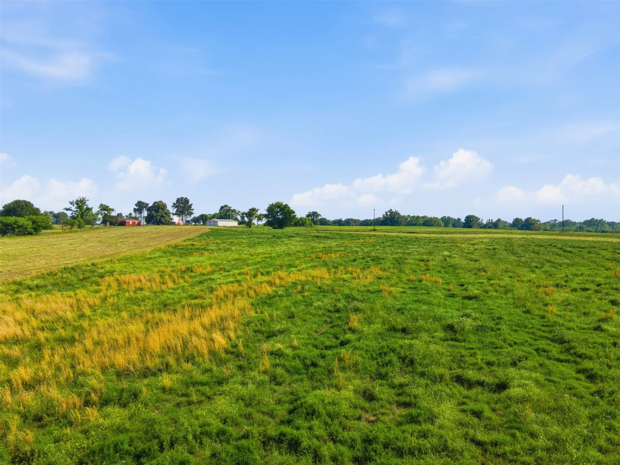 Improved Land For Sale in Titus County , 000 CR 1330, Mt Pleasant, Texas 75455, 0, 0, Garage spaces, 0 Sqft, built in 0, mls#21262801, Real Estate Agent in Mt Pleasant, Homes For Sale in Titus county, Homes For Sale in Mt Pleasant, Realtor in Mt Pleasant Texas, Real Estate Brokerage Independent Realty Texas, Luminita Cordes Realtor