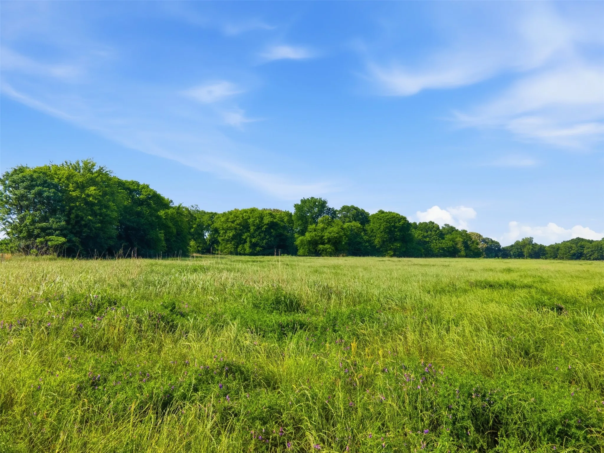 Improved Land For Sale in Titus County , 000 CR 1330, Mt Pleasant, Texas 75455, 0, 0, Garage spaces, 0 Sqft, built in 0, mls#21262801, Real Estate Agent in Mt Pleasant, Homes For Sale in Titus county, Homes For Sale in Mt Pleasant, Realtor in Mt Pleasant Texas, Real Estate Brokerage Independent Realty Texas, Luminita Cordes Realtor
