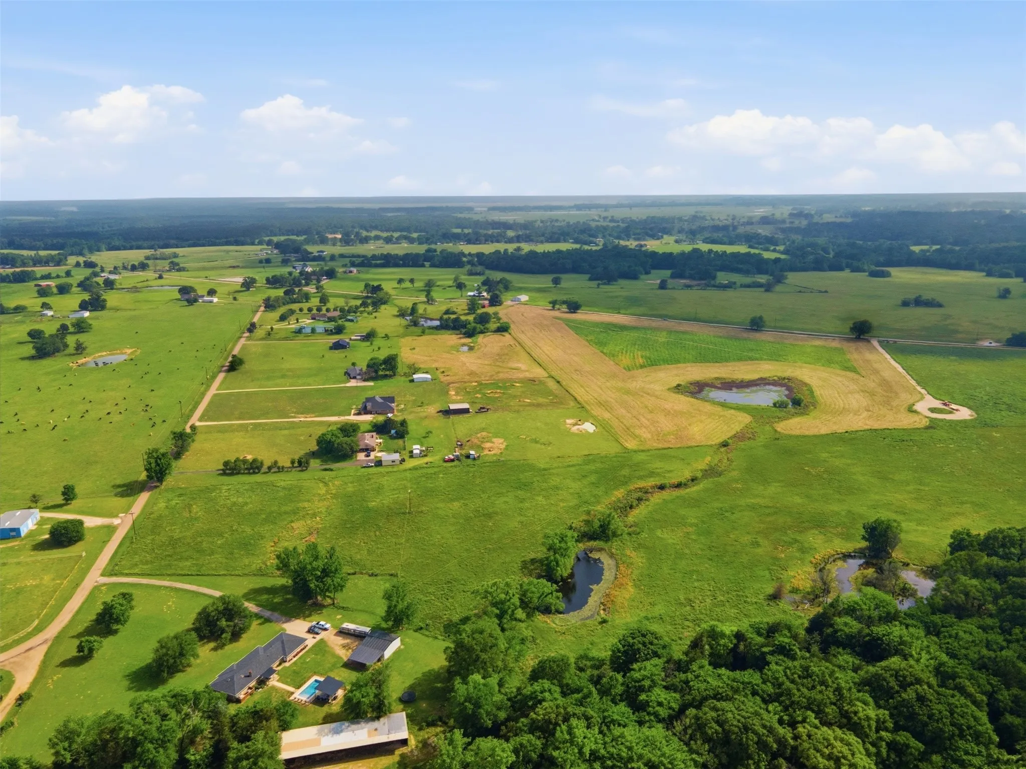 Improved Land For Sale in Titus County , 000 CR 1330, Mt Pleasant, Texas 75455, 0, 0, Garage spaces, 0 Sqft, built in 0, mls#21262801, Real Estate Agent in Mt Pleasant, Homes For Sale in Titus county, Homes For Sale in Mt Pleasant, Realtor in Mt Pleasant Texas, Real Estate Brokerage Independent Realty Texas, Luminita Cordes Realtor