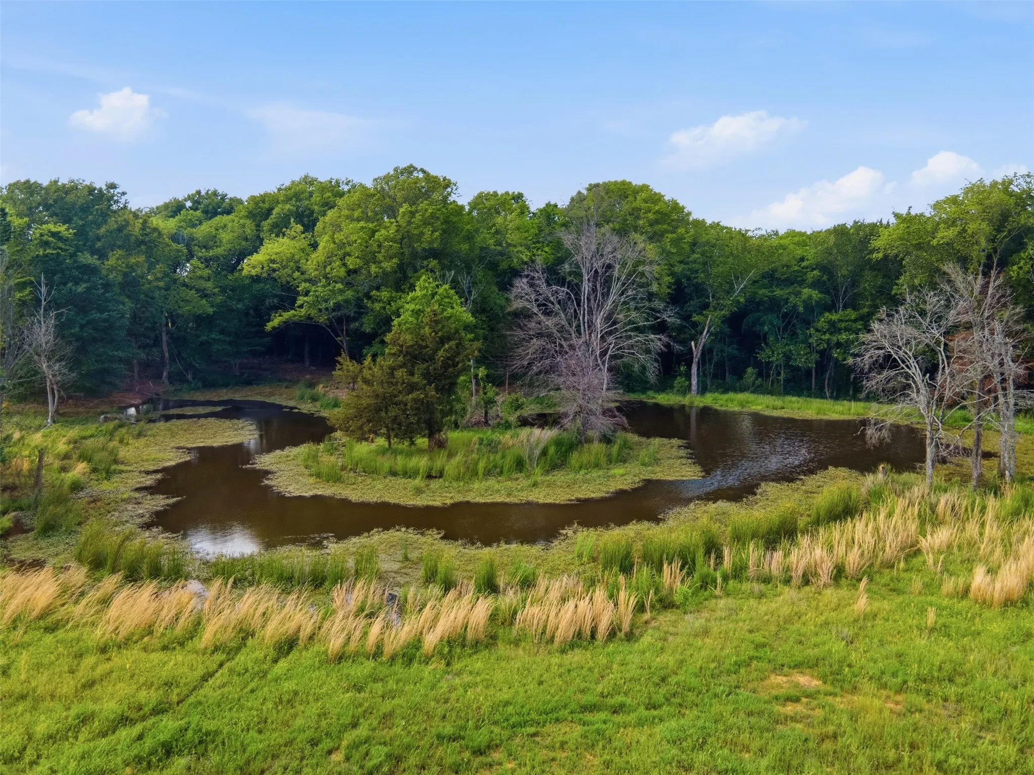 Improved Land For Sale in Titus County , 000 CR 1330, Mt Pleasant, Texas 75455, 0, 0, Garage spaces, 0 Sqft, built in 0, mls#21262801, Real Estate Agent in Mt Pleasant, Homes For Sale in Titus county, Homes For Sale in Mt Pleasant, Realtor in Mt Pleasant Texas, Real Estate Brokerage Independent Realty Texas, Luminita Cordes Realtor