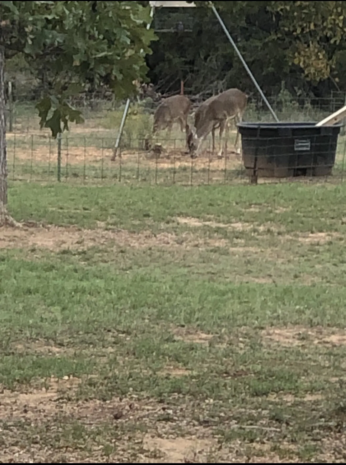 Mobile Home For Sale in Palo Pinto County , 140 E Bankhead Highway, Mineral Wells, Texas 76067, 2 Bedroom, 2 Bathroom, Garage spaces, 1,020 Sqft, built in 2021, mls#21259094, Real Estate Agent in Mineral Wells, Homes For Sale in Palo Pinto county, Homes For Sale in Mineral Wells, Realtor in Mineral Wells Texas, Real Estate Brokerage Independent Realty Texas, Luminita Cordes Realtor