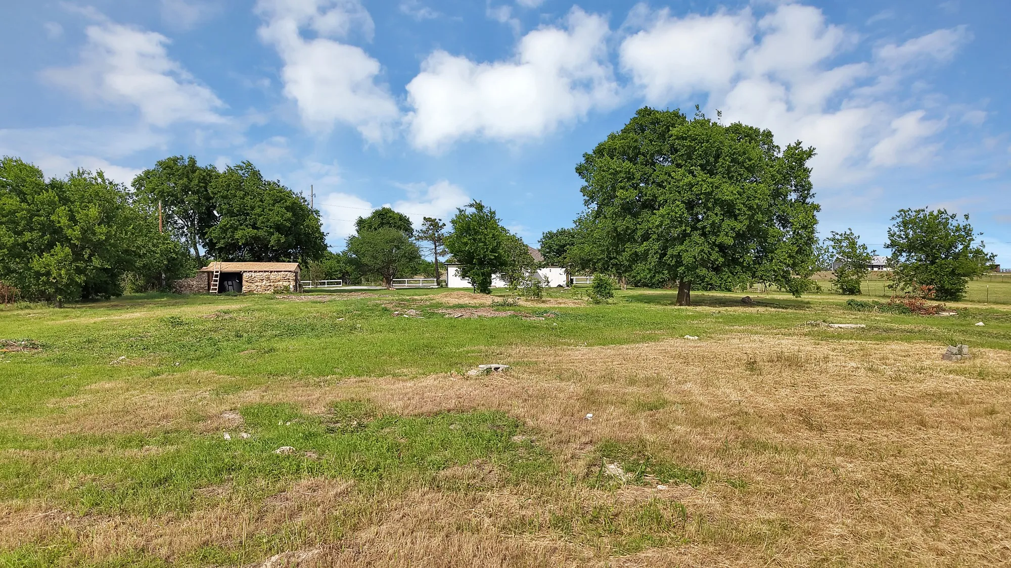 Expansive open field with scattered mature trees and distant structures