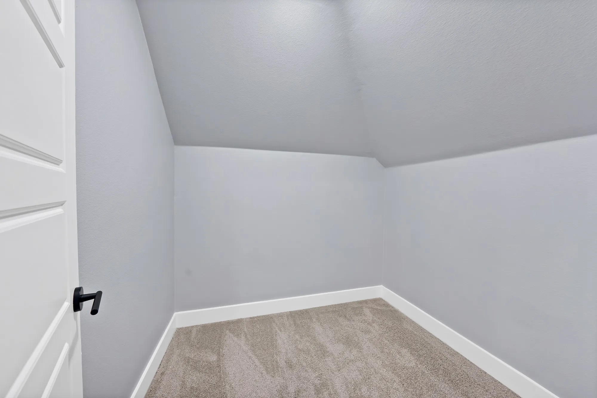 Interior room featuring neutral wall paint, sloped ceiling detail, plush carpeting, and white baseboards