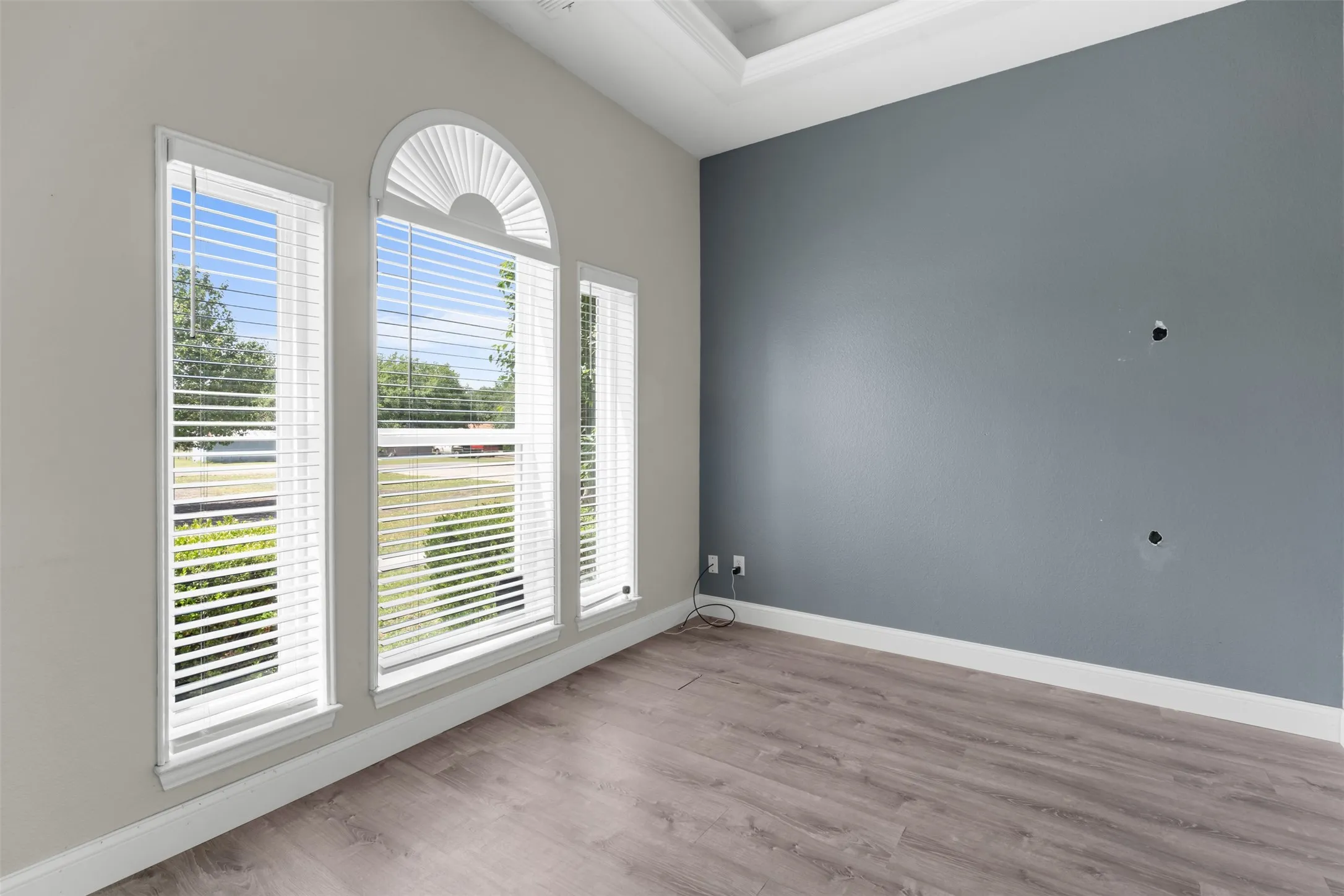 down sairs Interior room featuring a tray ceiling, wood-finish flooring, and a window wall with an arched accent window
