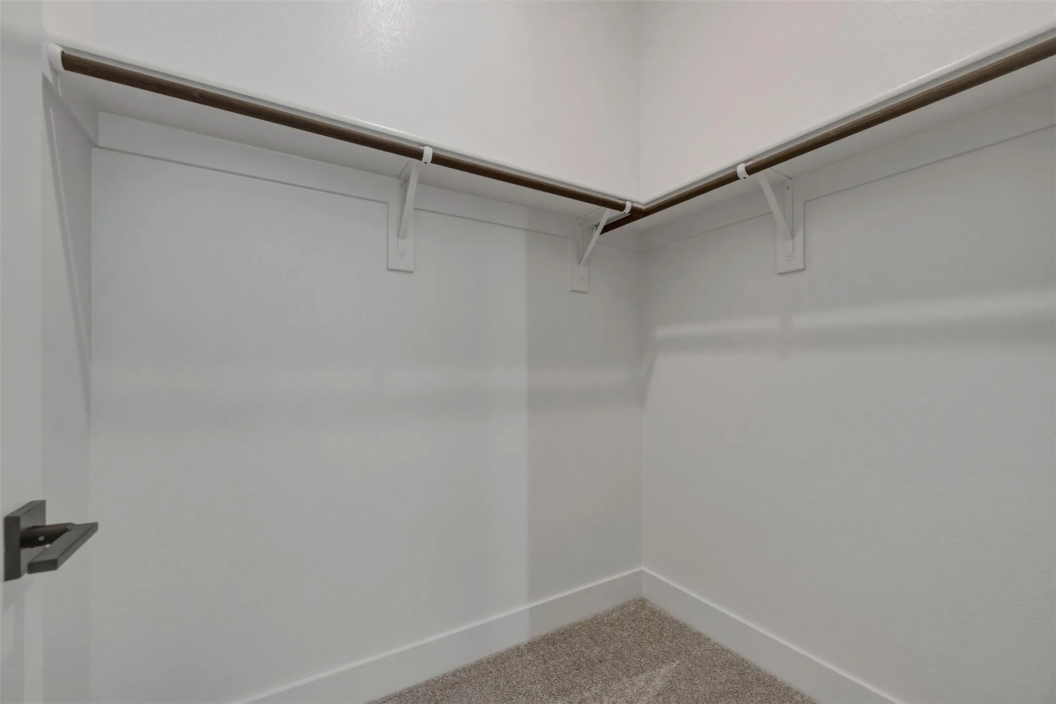 Walk-in closet with carpet flooring, white walls, and built-in shelving with hanging rods