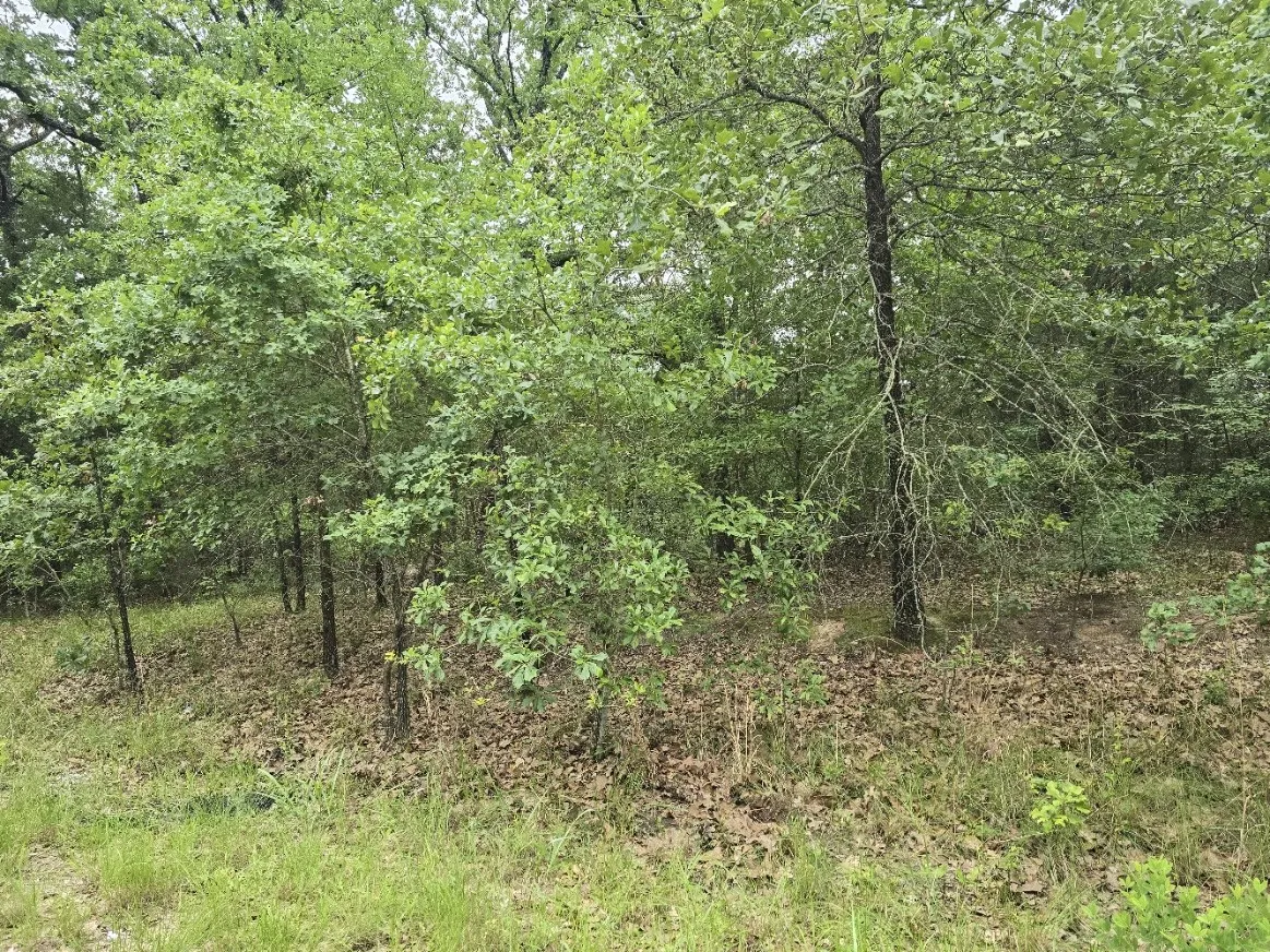 Unimproved Land For Sale in Henderson County , Lot 1007 Kickapoo Trail, Mabank, Texas 75156, 0, 0, Garage spaces, 0 Sqft, built in 0, Price $10,000, mls#21262884, Real Estate Agent in Mabank, Homes For Sale in Henderson county, Homes For Sale in Mabank, Realtor in Mabank Texas, Real Estate Brokerage Independent Realty Texas, Luminita Cordes Realtor