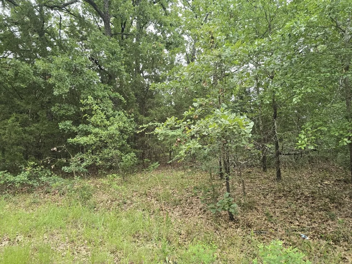 Unimproved Land For Sale in Henderson County , Lot 1007 Kickapoo Trail, Mabank, Texas 75156, 0, 0, Garage spaces, 0 Sqft, built in 0, Price $10,000, mls#21262884, Real Estate Agent in Mabank, Homes For Sale in Henderson county, Homes For Sale in Mabank, Realtor in Mabank Texas, Real Estate Brokerage Independent Realty Texas, Luminita Cordes Realtor