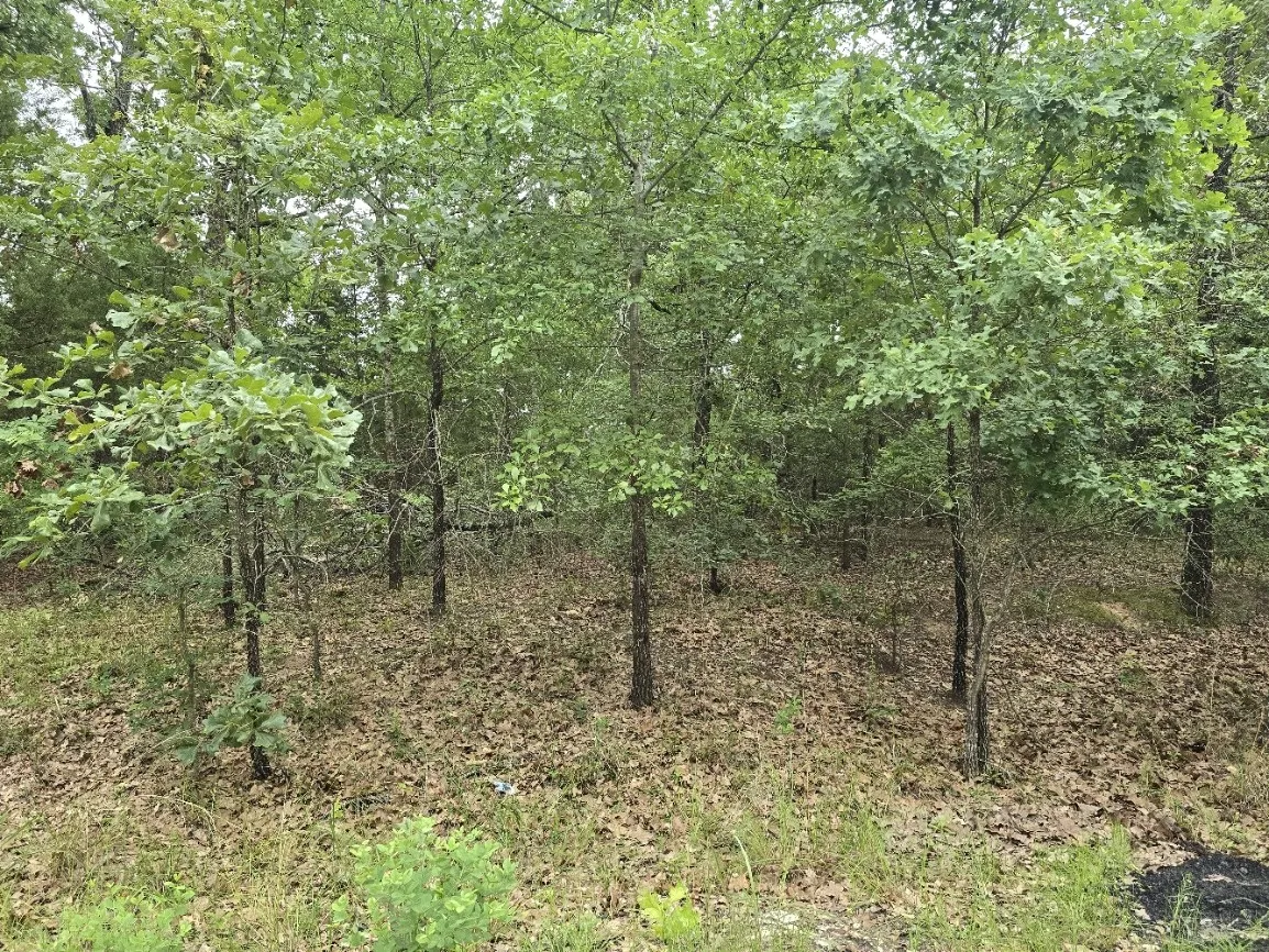 Unimproved Land For Sale in Henderson County , Lot 1007 Kickapoo Trail, Mabank, Texas 75156, 0, 0, Garage spaces, 0 Sqft, built in 0, Price $10,000, mls#21262884, Real Estate Agent in Mabank, Homes For Sale in Henderson county, Homes For Sale in Mabank, Realtor in Mabank Texas, Real Estate Brokerage Independent Realty Texas, Luminita Cordes Realtor