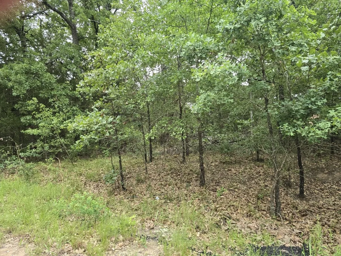 Unimproved Land For Sale in Henderson County , Lot 1007 Kickapoo Trail, Mabank, Texas 75156, 0, 0, Garage spaces, 0 Sqft, built in 0, Price $10,000, mls#21262884, Real Estate Agent in Mabank, Homes For Sale in Henderson county, Homes For Sale in Mabank, Realtor in Mabank Texas, Real Estate Brokerage Independent Realty Texas, Luminita Cordes Realtor