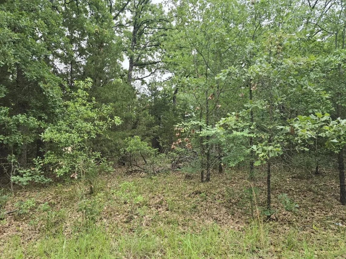 Unimproved Land For Sale in Henderson County , Lot 1007 Kickapoo Trail, Mabank, Texas 75156, 0, 0, Garage spaces, 0 Sqft, built in 0, Price $10,000, mls#21262884, Real Estate Agent in Mabank, Homes For Sale in Henderson county, Homes For Sale in Mabank, Realtor in Mabank Texas, Real Estate Brokerage Independent Realty Texas, Luminita Cordes Realtor