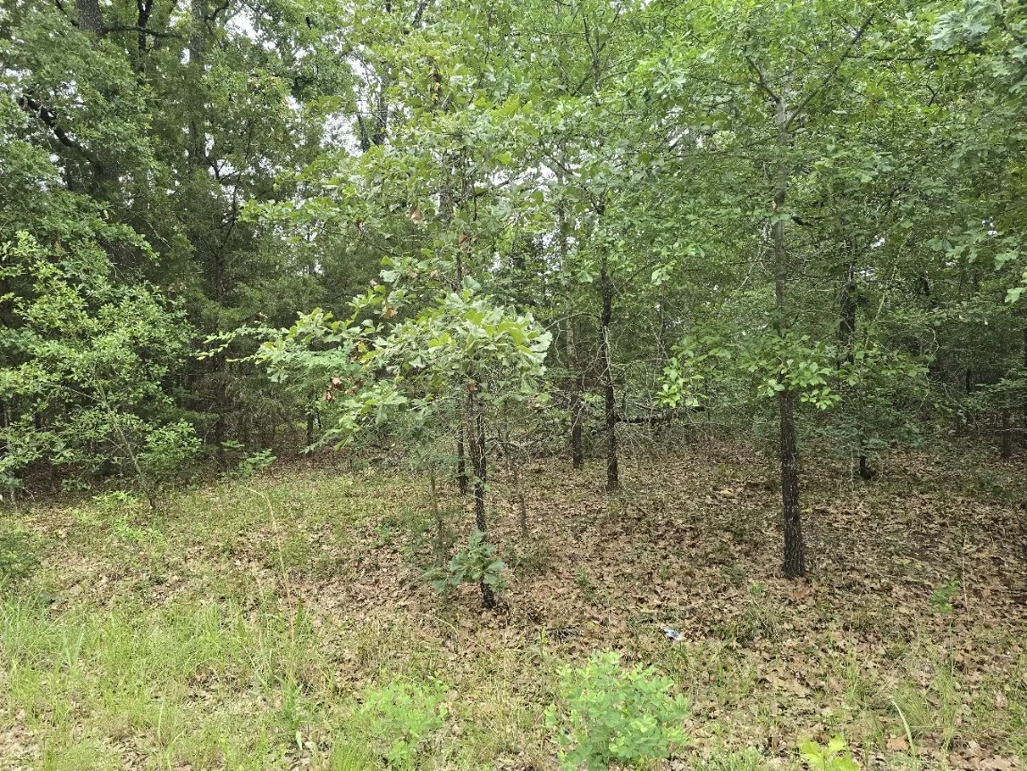 Unimproved Land For Sale in Henderson County , Lot 1007 Kickapoo Trail, Mabank, Texas 75156, 0, 0, Garage spaces, 0 Sqft, built in 0, Price $10,000, mls#21262884, Real Estate Agent in Mabank, Homes For Sale in Henderson county, Homes For Sale in Mabank, Realtor in Mabank Texas, Real Estate Brokerage Independent Realty Texas, Luminita Cordes Realtor