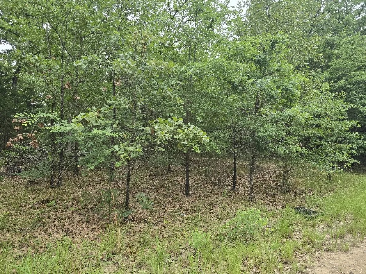 Unimproved Land For Sale in Henderson County , Lot 1007 Kickapoo Trail, Mabank, Texas 75156, 0, 0, Garage spaces, 0 Sqft, built in 0, Price $10,000, mls#21262884, Real Estate Agent in Mabank, Homes For Sale in Henderson county, Homes For Sale in Mabank, Realtor in Mabank Texas, Real Estate Brokerage Independent Realty Texas, Luminita Cordes Realtor