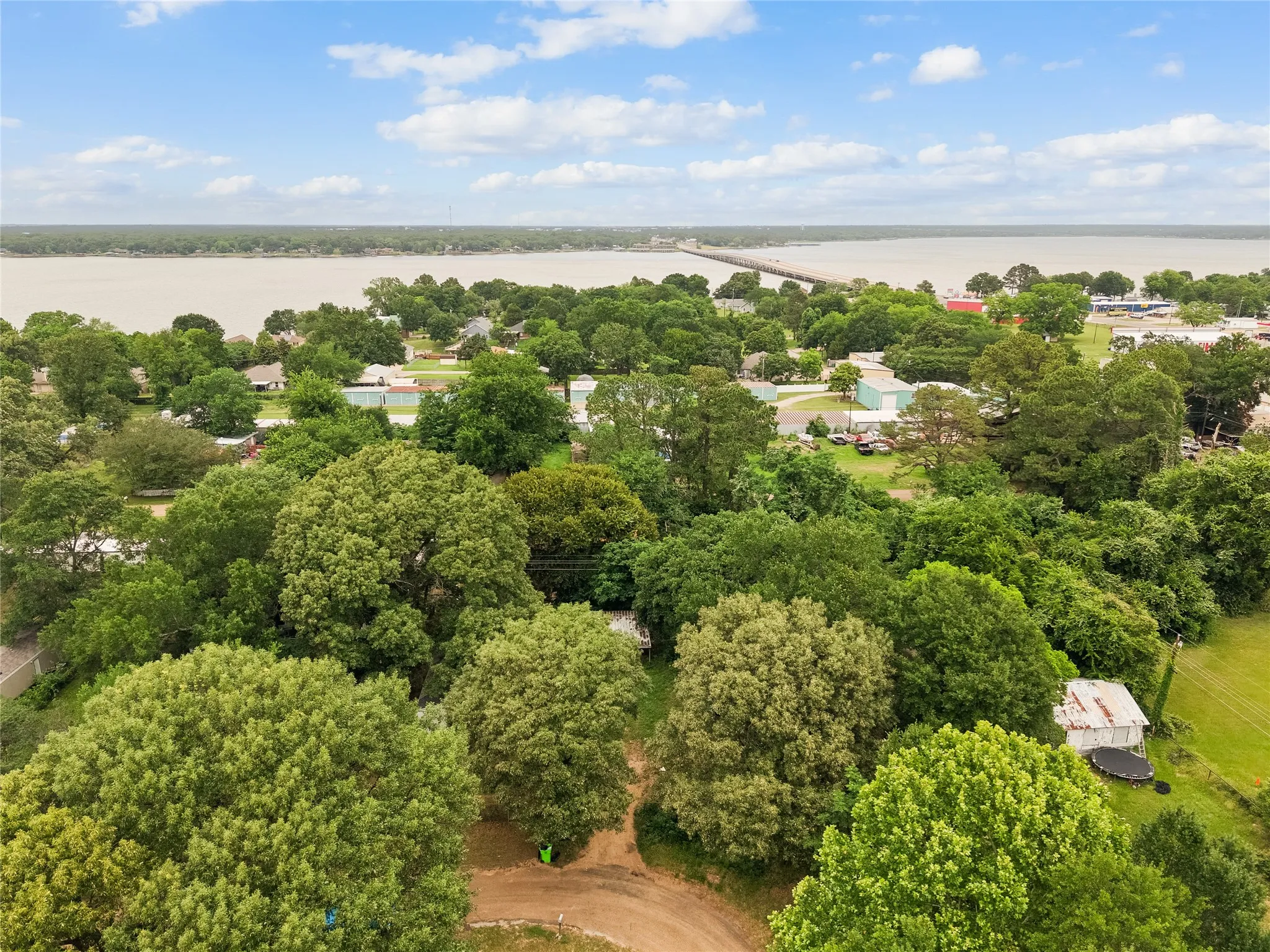 Aerial perspective showcasing extensive tree coverage and distant water body