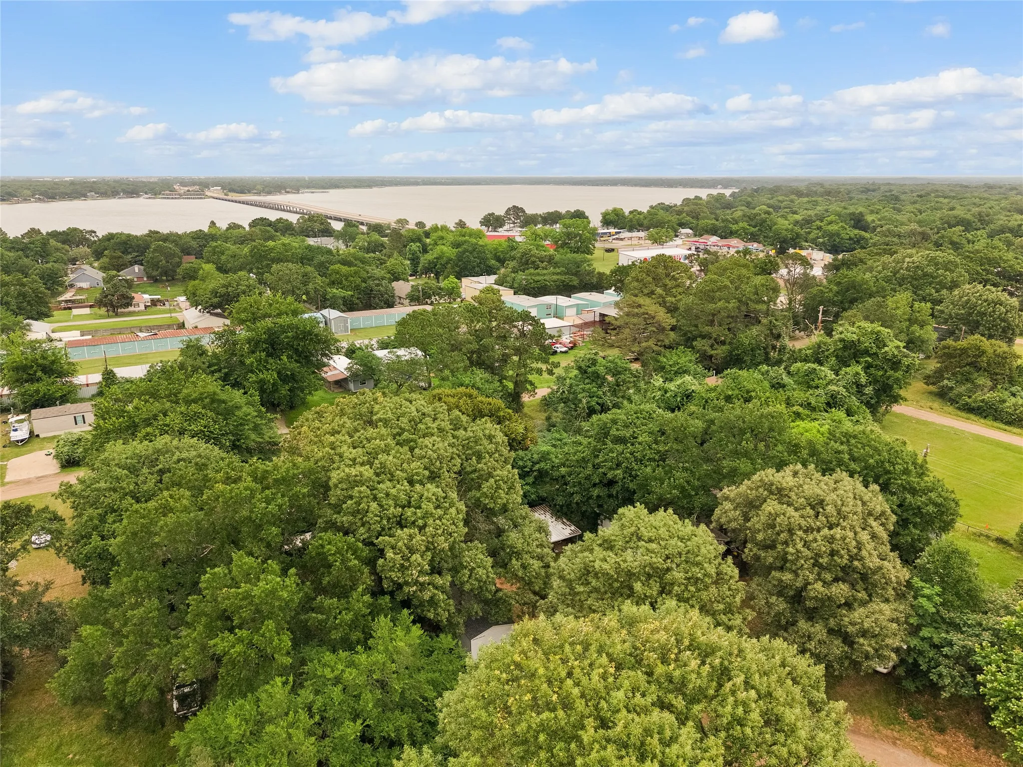 Expansive green landscape with dense tree coverage