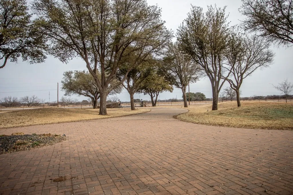 Driveway