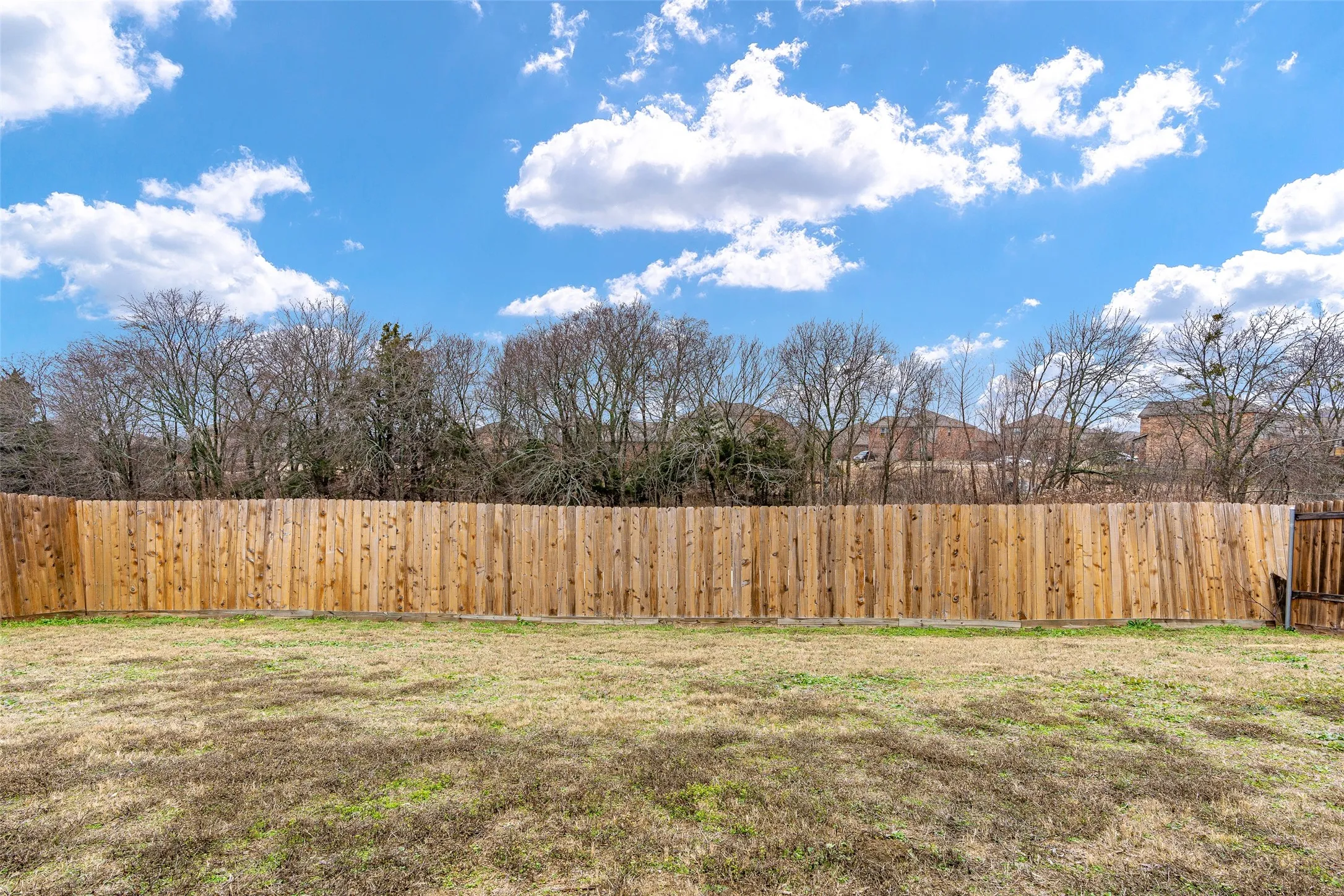 Single Family Residence For Rent in Collin County , 1431 Park Trails Boulevard, Princeton, Texas 75407, 3 Bedrooms, 2 Bathrooms, 2 Garage spaces, 1,619 Sqft, built in 2019, Price $1,850, mls#21258408, Real Estate Agent in Princeton, Homes For Rent in Collin county, Homes For Rent in Princeton, Realtor in Princeton Texas, Real Estate Brokerage Independent Realty Texas, Luminita Cordes Realtor