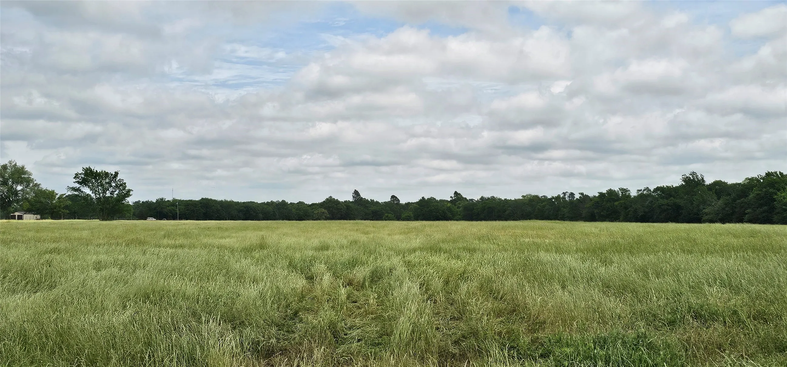 Ranch For Sale in Van Zandt County , 2260 FM 16, Canton, Texas 75103, 0, 0, Garage spaces, 0 Sqft, built in 1970, Price $649,000, mls#21262921, Real Estate Agent in Canton, Homes For Sale in Van Zandt county, Homes For Sale in Canton, Realtor in Canton Texas, Real Estate Brokerage Independent Realty Texas, Luminita Cordes Realtor
