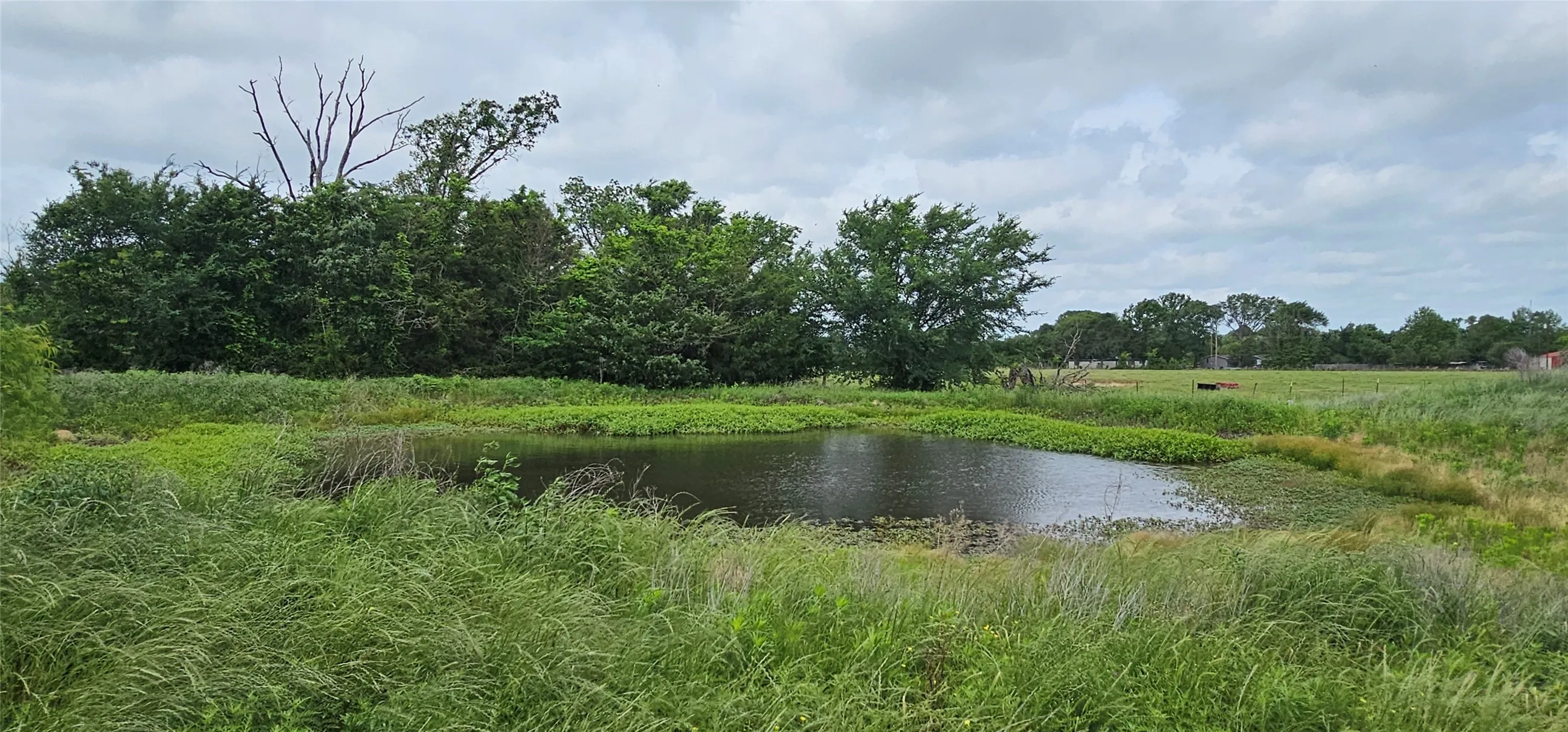 Pond 2