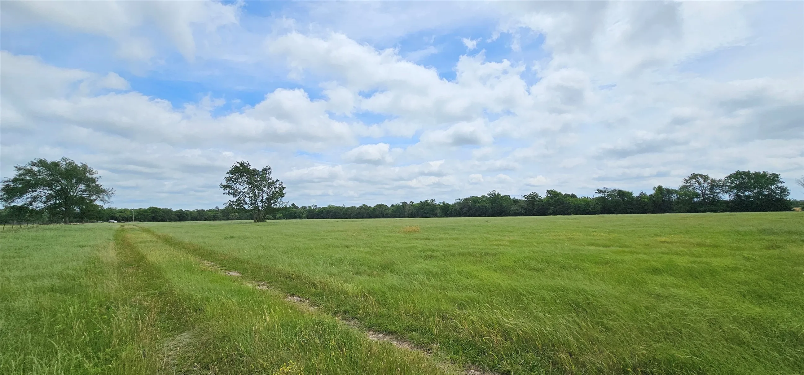 Ranch For Sale in Van Zandt County , 2260 FM 16, Canton, Texas 75103, 0, 0, Garage spaces, 0 Sqft, built in 1970, Price $649,000, mls#21262921, Real Estate Agent in Canton, Homes For Sale in Van Zandt county, Homes For Sale in Canton, Realtor in Canton Texas, Real Estate Brokerage Independent Realty Texas, Luminita Cordes Realtor