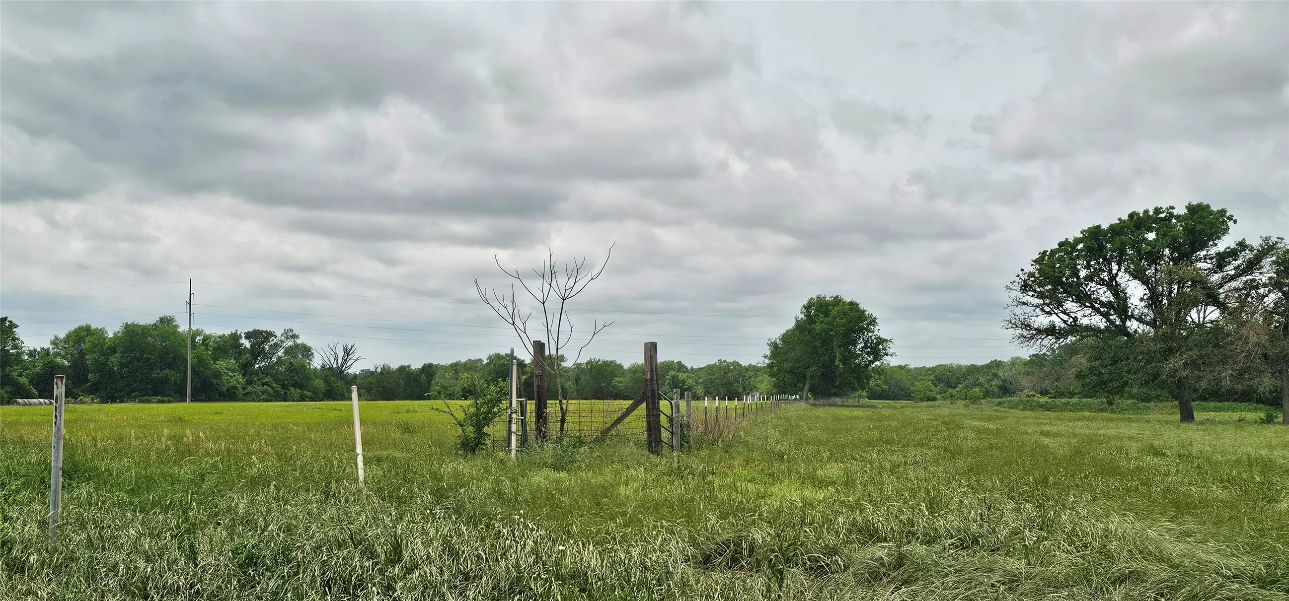 Ranch For Sale in Van Zandt County , 2260 FM 16, Canton, Texas 75103, 0, 0, Garage spaces, 0 Sqft, built in 1970, Price $649,000, mls#21262921, Real Estate Agent in Canton, Homes For Sale in Van Zandt county, Homes For Sale in Canton, Realtor in Canton Texas, Real Estate Brokerage Independent Realty Texas, Luminita Cordes Realtor