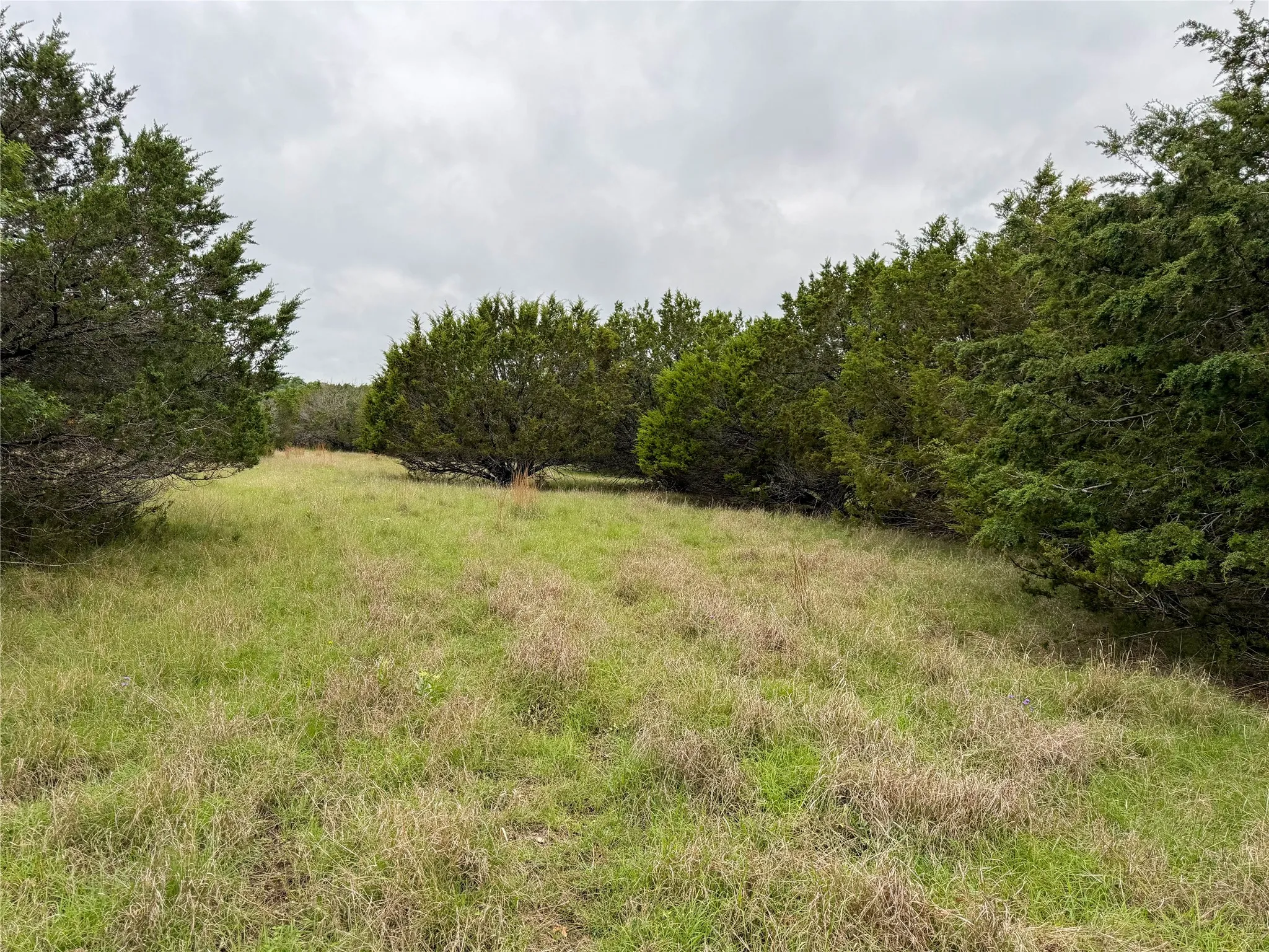 Unimproved Land For Sale in Coryell County , UNK Virginia Avenue, Copperas Cove, Texas 76522, 0, 0, Garage spaces, 0 Sqft, built in 0, mls#21262842, Real Estate Agent in Copperas Cove, Homes For Sale in Coryell county, Homes For Sale in Copperas Cove, Realtor in Copperas Cove Texas, Real Estate Brokerage Independent Realty Texas, Luminita Cordes Realtor