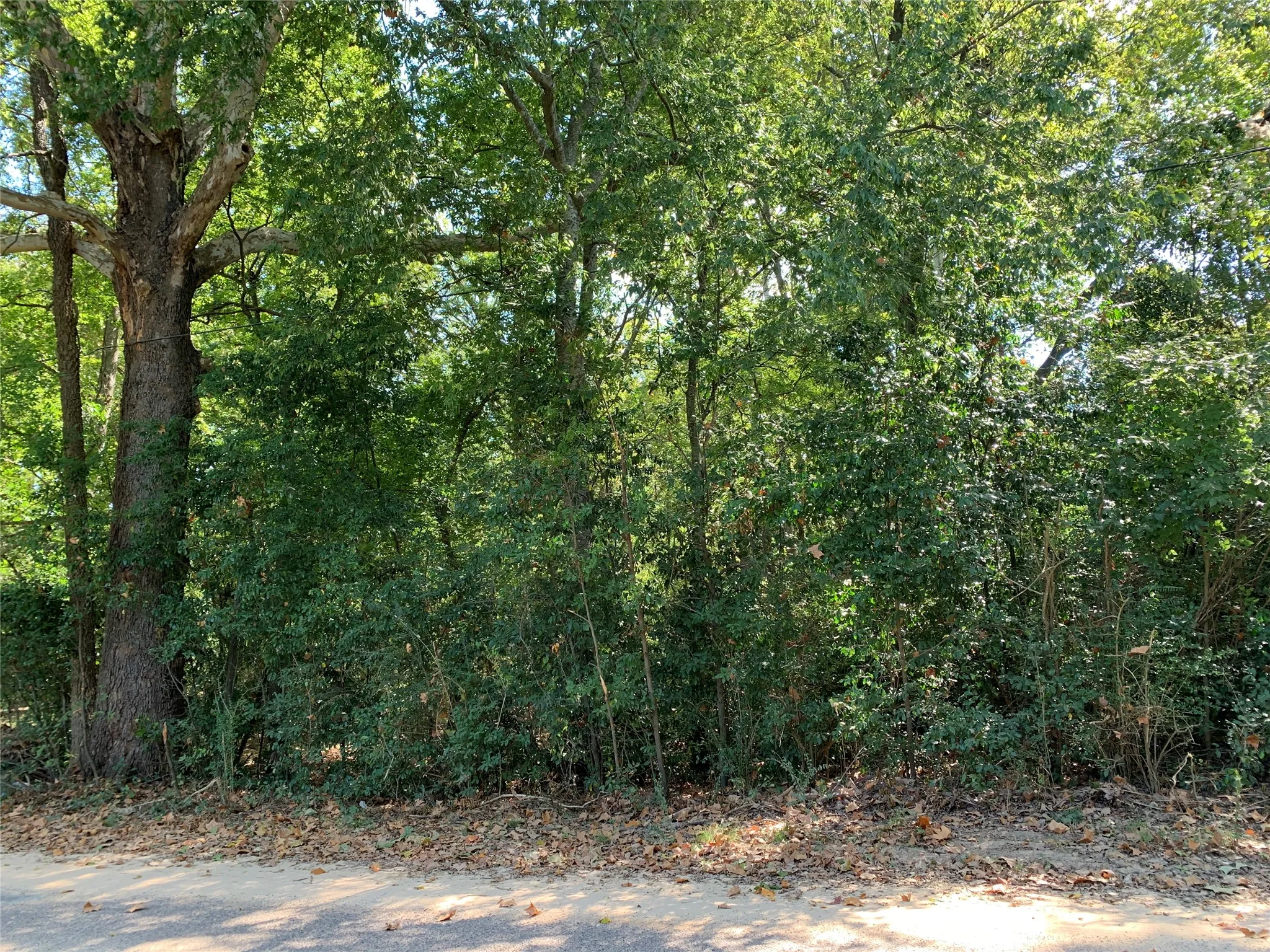 Unimproved Land For Sale in Henderson County , 516 Chase Street, Athens, Texas 75751, 0, 0, Garage spaces, 0 Sqft, built in 0, mls#21263069, Real Estate Agent in Athens, Homes For Sale in Henderson county, Homes For Sale in Athens, Realtor in Athens Texas, Real Estate Brokerage Independent Realty Texas, Luminita Cordes Realtor