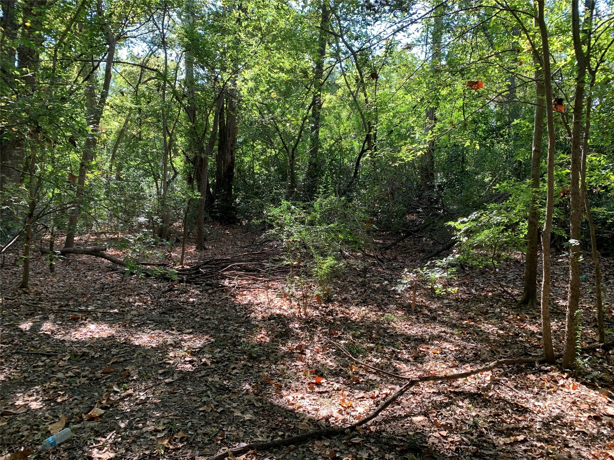 Unimproved Land For Sale in Henderson County , 516 Chase Street, Athens, Texas 75751, 0, 0, Garage spaces, 0 Sqft, built in 0, mls#21263069, Real Estate Agent in Athens, Homes For Sale in Henderson county, Homes For Sale in Athens, Realtor in Athens Texas, Real Estate Brokerage Independent Realty Texas, Luminita Cordes Realtor