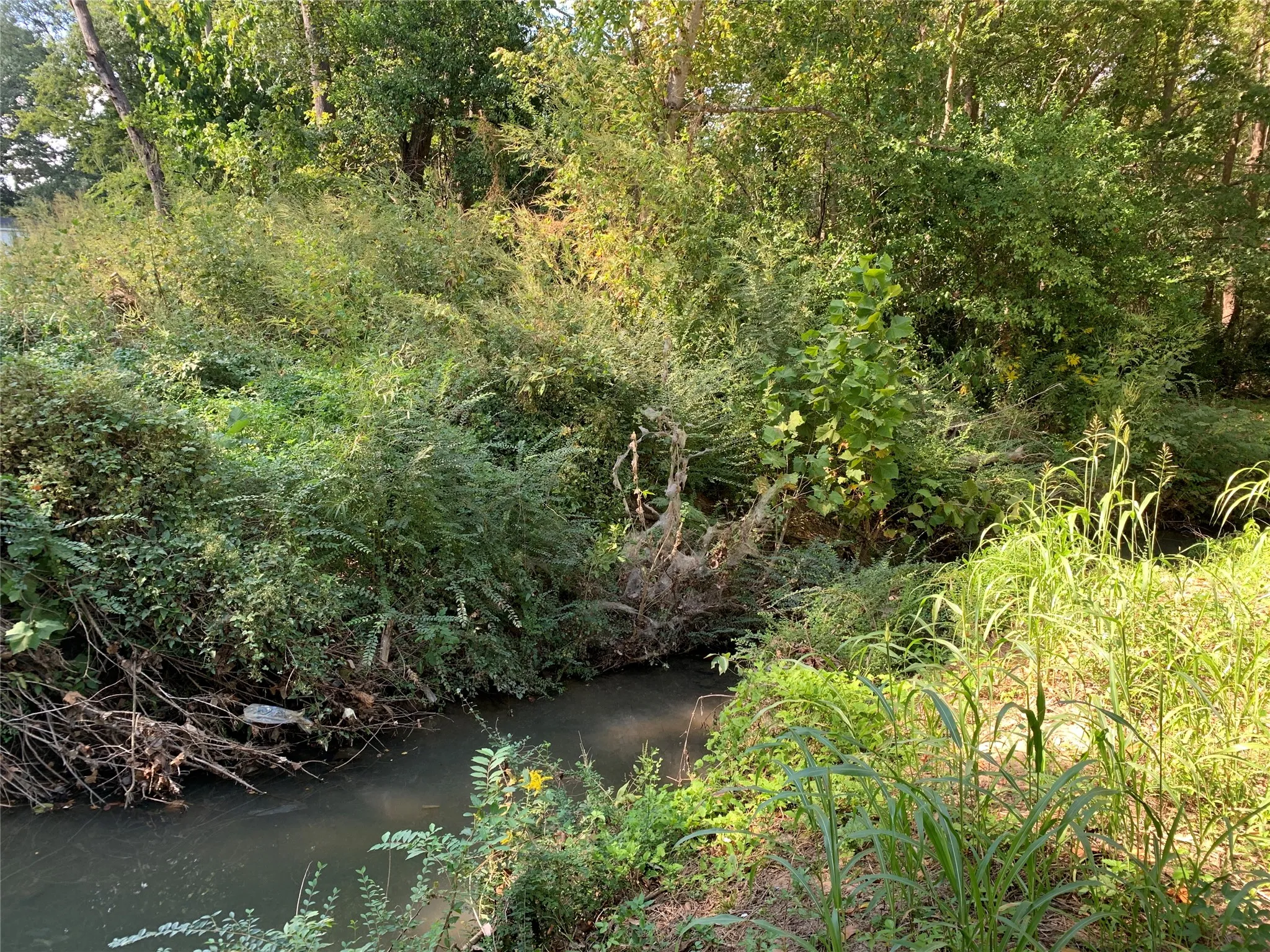 Unimproved Land For Sale in Henderson County , 516 Chase Street, Athens, Texas 75751, 0, 0, Garage spaces, 0 Sqft, built in 0, mls#21263069, Real Estate Agent in Athens, Homes For Sale in Henderson county, Homes For Sale in Athens, Realtor in Athens Texas, Real Estate Brokerage Independent Realty Texas, Luminita Cordes Realtor