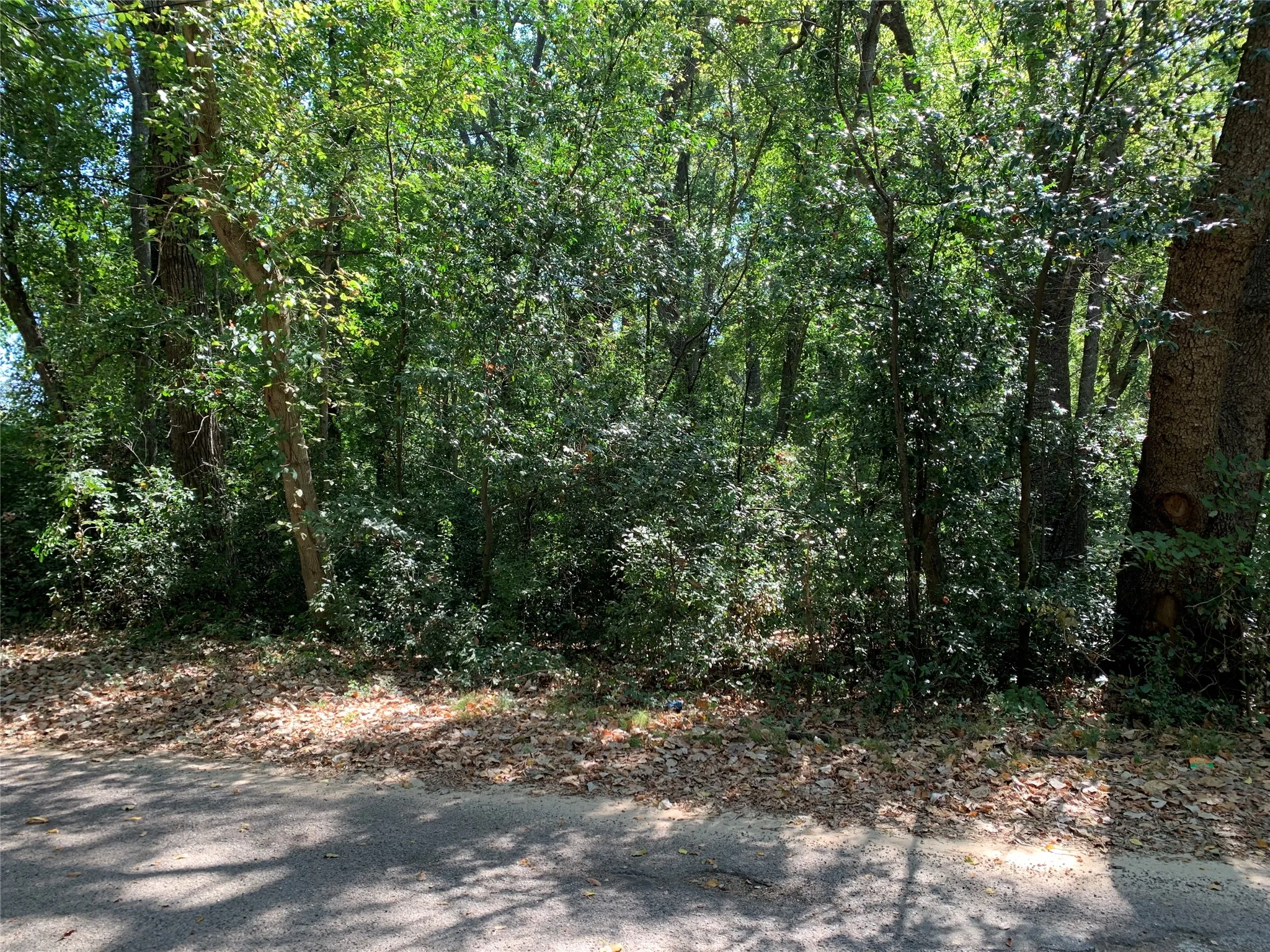 Unimproved Land For Sale in Henderson County , 516 Chase Street, Athens, Texas 75751, 0, 0, Garage spaces, 0 Sqft, built in 0, mls#21263069, Real Estate Agent in Athens, Homes For Sale in Henderson county, Homes For Sale in Athens, Realtor in Athens Texas, Real Estate Brokerage Independent Realty Texas, Luminita Cordes Realtor