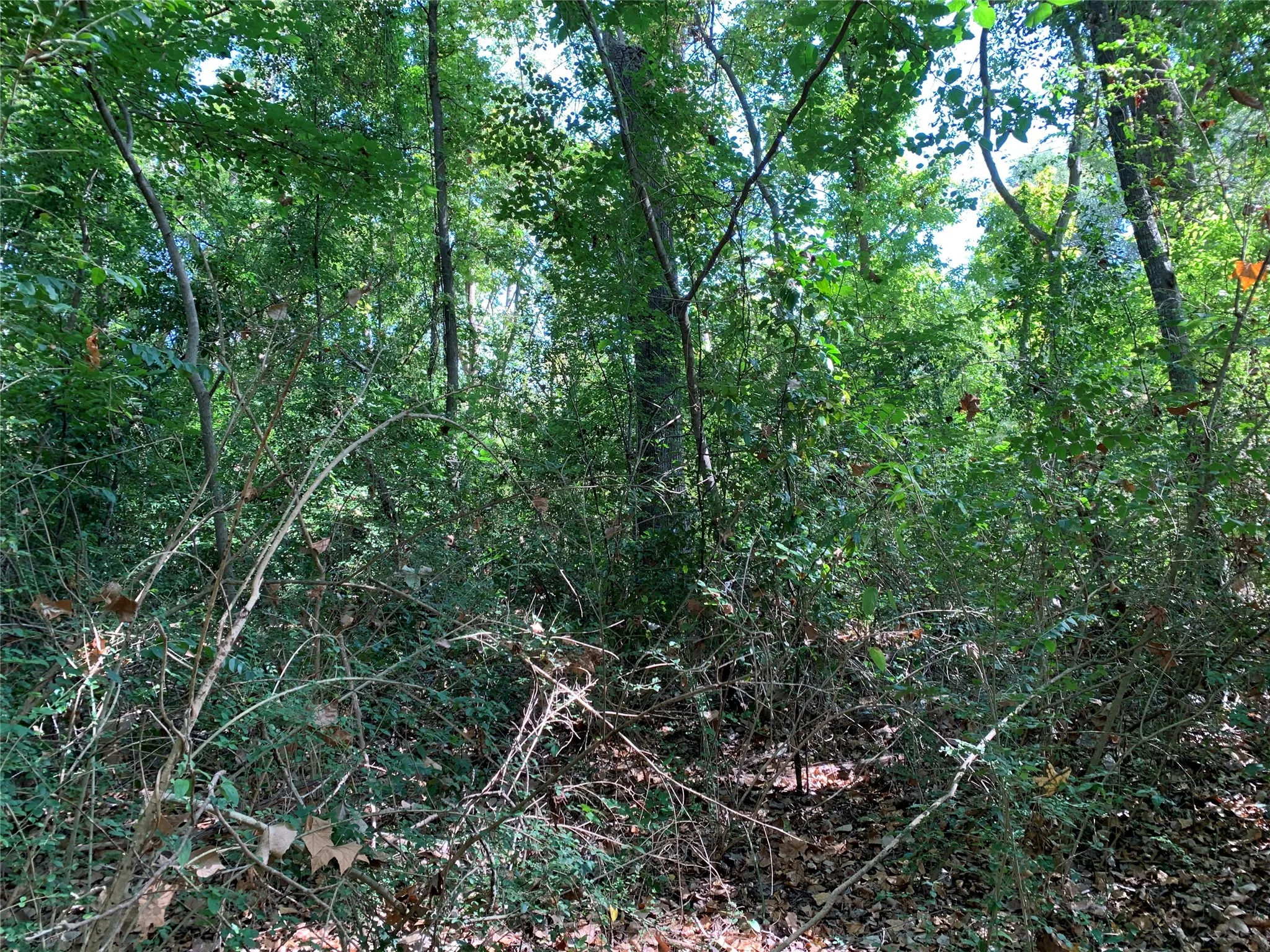 Unimproved Land For Sale in Henderson County , 516 Chase Street, Athens, Texas 75751, 0, 0, Garage spaces, 0 Sqft, built in 0, mls#21263069, Real Estate Agent in Athens, Homes For Sale in Henderson county, Homes For Sale in Athens, Realtor in Athens Texas, Real Estate Brokerage Independent Realty Texas, Luminita Cordes Realtor