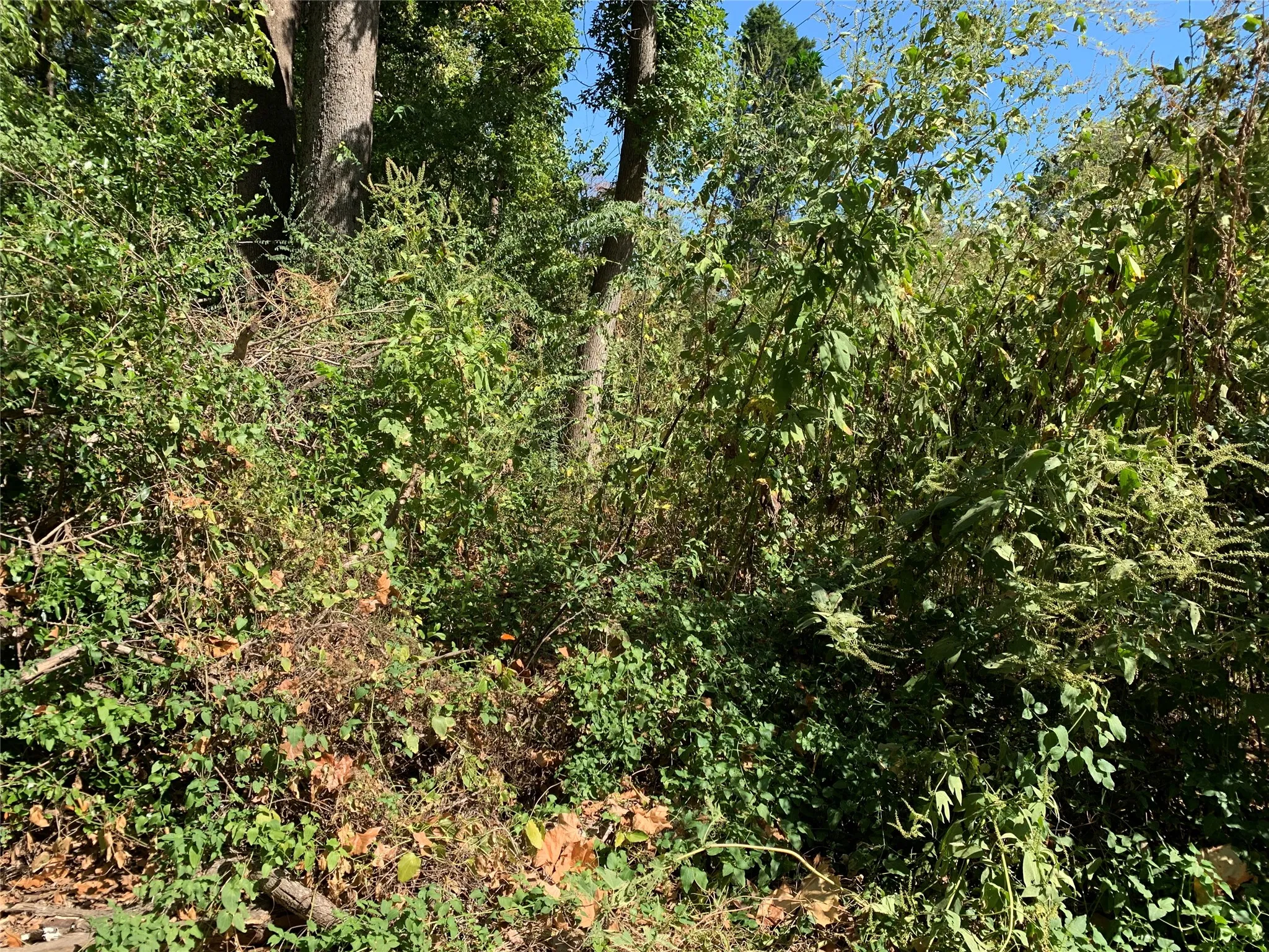 Unimproved Land For Sale in Henderson County , 516 Chase Street, Athens, Texas 75751, 0, 0, Garage spaces, 0 Sqft, built in 0, mls#21263069, Real Estate Agent in Athens, Homes For Sale in Henderson county, Homes For Sale in Athens, Realtor in Athens Texas, Real Estate Brokerage Independent Realty Texas, Luminita Cordes Realtor