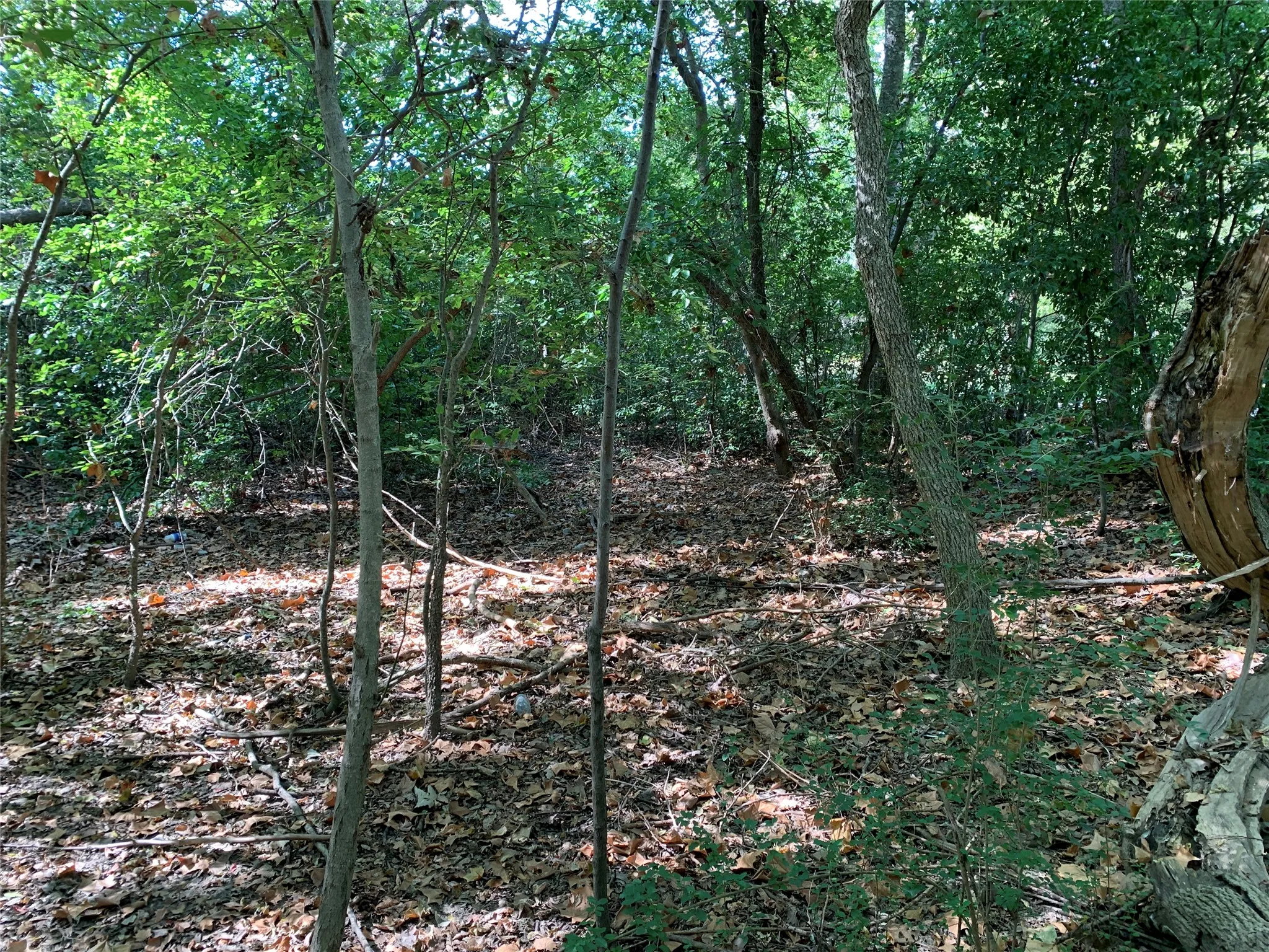 Unimproved Land For Sale in Henderson County , 516 Chase Street, Athens, Texas 75751, 0, 0, Garage spaces, 0 Sqft, built in 0, mls#21263069, Real Estate Agent in Athens, Homes For Sale in Henderson county, Homes For Sale in Athens, Realtor in Athens Texas, Real Estate Brokerage Independent Realty Texas, Luminita Cordes Realtor