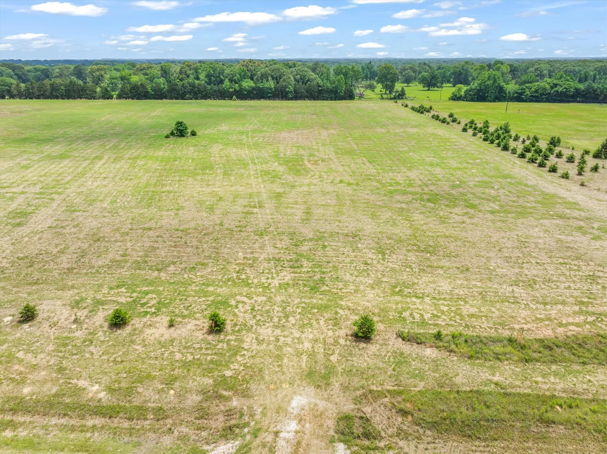 Unimproved Land For Sale in Van Zandt County , TBD VZ County Road 4912, Van, Texas 75790, 0, 0, Garage spaces, 0 Sqft, built in 0, Price $209,000, mls#21263155, Real Estate Agent in Van, Homes For Sale in Van Zandt county, Homes For Sale in Van, Realtor in Van Texas, Real Estate Brokerage Independent Realty Texas, Luminita Cordes Realtor