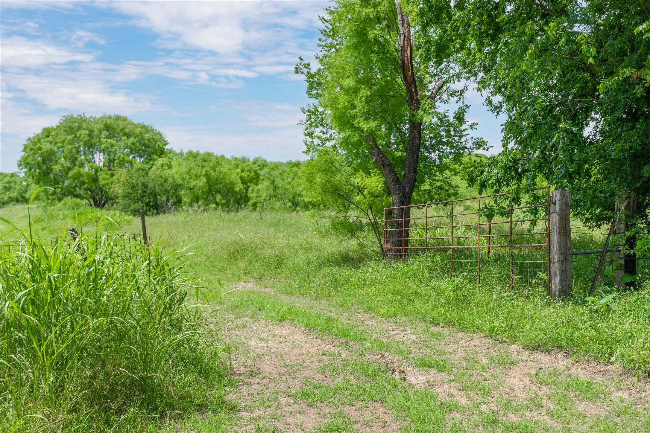 Improved Land For Sale in San Saba County , 4960 Fm 1480, San Saba, Texas 76877, 0, 0, Garage spaces, 0 Sqft, built in 0, mls#21263216, Real Estate Agent in San Saba, Homes For Sale in San Saba county, Homes For Sale in San Saba, Realtor in San Saba Texas, Real Estate Brokerage Independent Realty Texas, Luminita Cordes Realtor