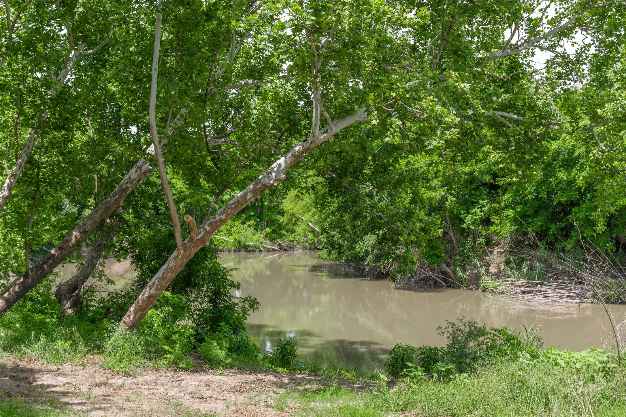 Improved Land For Sale in San Saba County , 4960 Fm 1480, San Saba, Texas 76877, 0, 0, Garage spaces, 0 Sqft, built in 0, mls#21263216, Real Estate Agent in San Saba, Homes For Sale in San Saba county, Homes For Sale in San Saba, Realtor in San Saba Texas, Real Estate Brokerage Independent Realty Texas, Luminita Cordes Realtor