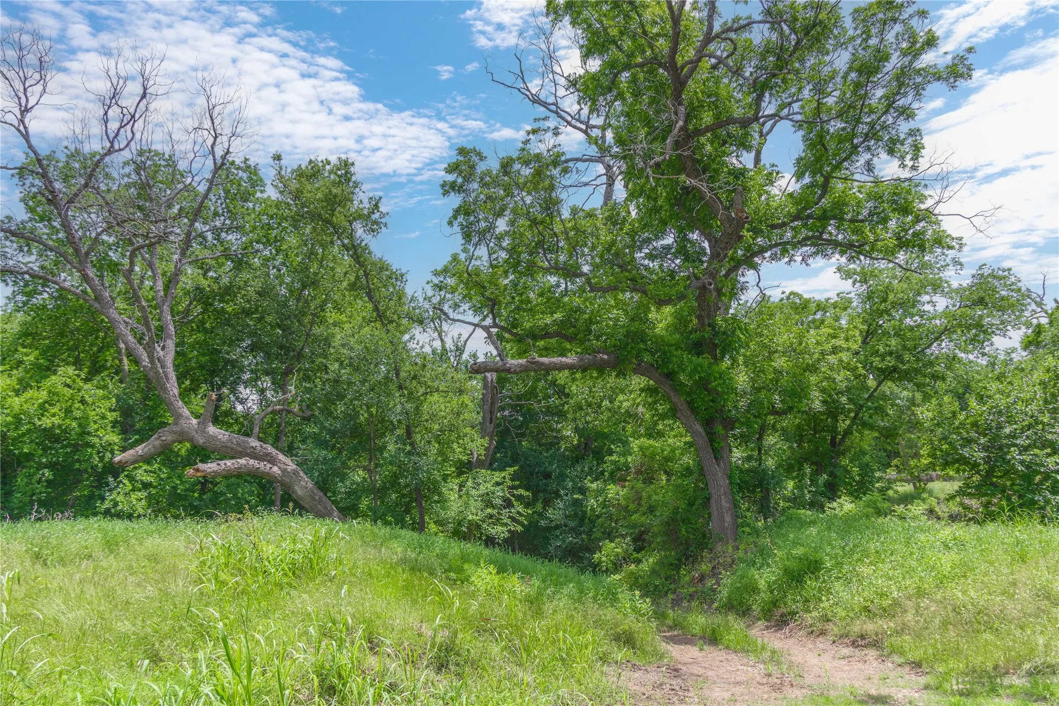 Improved Land For Sale in San Saba County , 4960 Fm 1480, San Saba, Texas 76877, 0, 0, Garage spaces, 0 Sqft, built in 0, mls#21263216, Real Estate Agent in San Saba, Homes For Sale in San Saba county, Homes For Sale in San Saba, Realtor in San Saba Texas, Real Estate Brokerage Independent Realty Texas, Luminita Cordes Realtor