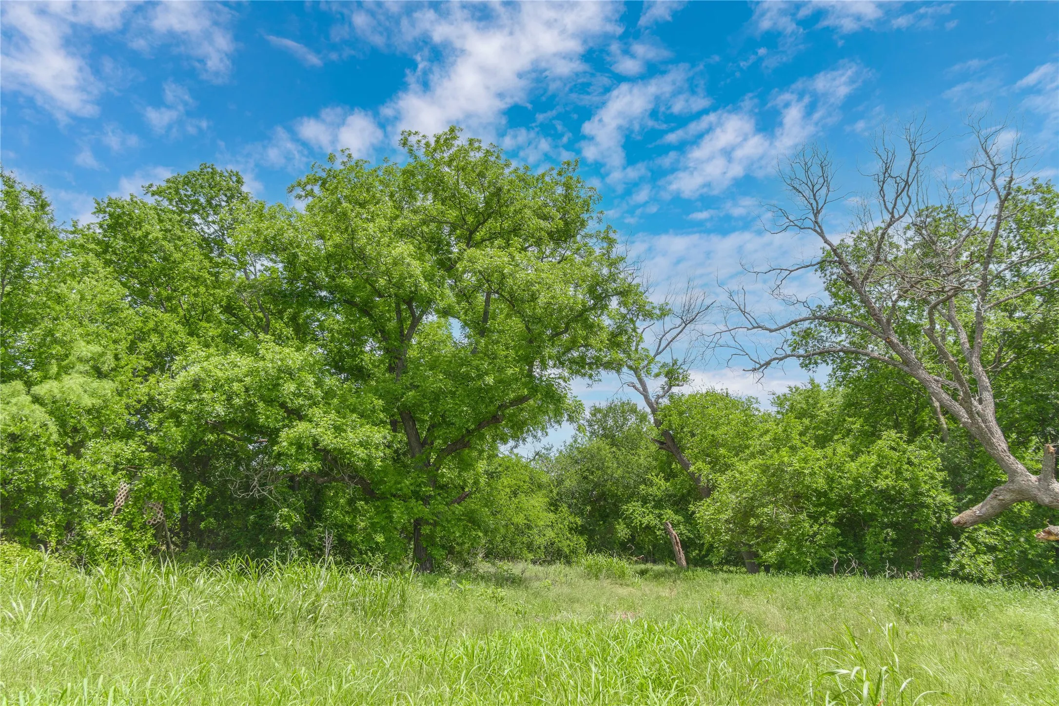 Improved Land For Sale in San Saba County , 4960 Fm 1480, San Saba, Texas 76877, 0, 0, Garage spaces, 0 Sqft, built in 0, mls#21263216, Real Estate Agent in San Saba, Homes For Sale in San Saba county, Homes For Sale in San Saba, Realtor in San Saba Texas, Real Estate Brokerage Independent Realty Texas, Luminita Cordes Realtor