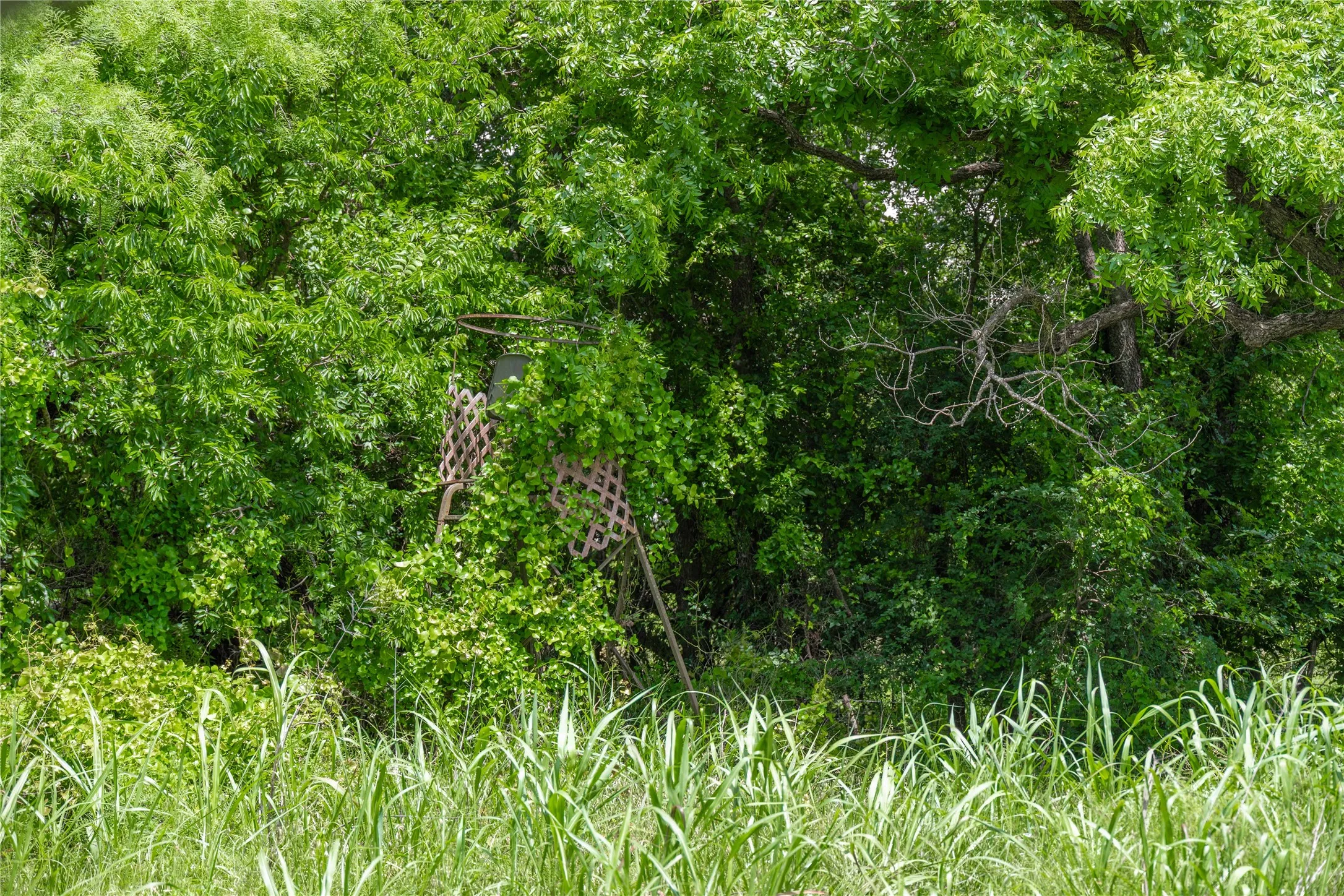 Improved Land For Sale in San Saba County , 4960 Fm 1480, San Saba, Texas 76877, 0, 0, Garage spaces, 0 Sqft, built in 0, mls#21263216, Real Estate Agent in San Saba, Homes For Sale in San Saba county, Homes For Sale in San Saba, Realtor in San Saba Texas, Real Estate Brokerage Independent Realty Texas, Luminita Cordes Realtor