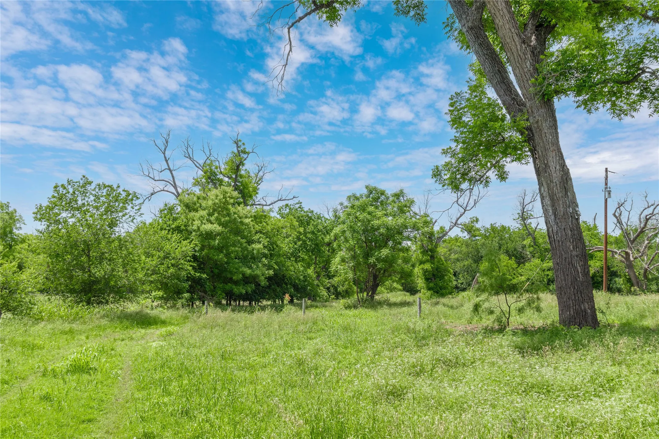 Improved Land For Sale in San Saba County , 4960 Fm 1480, San Saba, Texas 76877, 0, 0, Garage spaces, 0 Sqft, built in 0, mls#21263216, Real Estate Agent in San Saba, Homes For Sale in San Saba county, Homes For Sale in San Saba, Realtor in San Saba Texas, Real Estate Brokerage Independent Realty Texas, Luminita Cordes Realtor