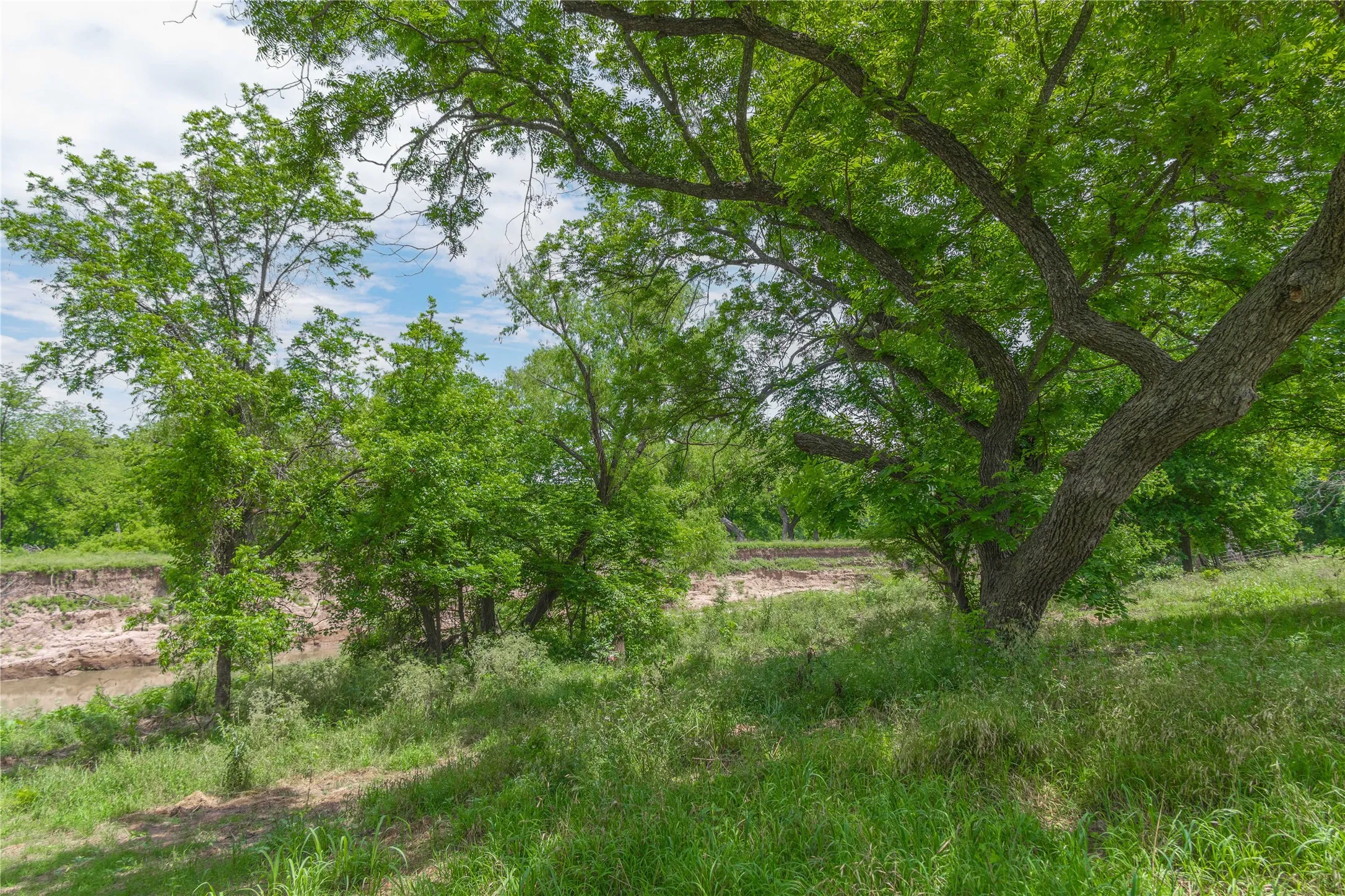 Improved Land For Sale in San Saba County , 4960 Fm 1480, San Saba, Texas 76877, 0, 0, Garage spaces, 0 Sqft, built in 0, mls#21263216, Real Estate Agent in San Saba, Homes For Sale in San Saba county, Homes For Sale in San Saba, Realtor in San Saba Texas, Real Estate Brokerage Independent Realty Texas, Luminita Cordes Realtor