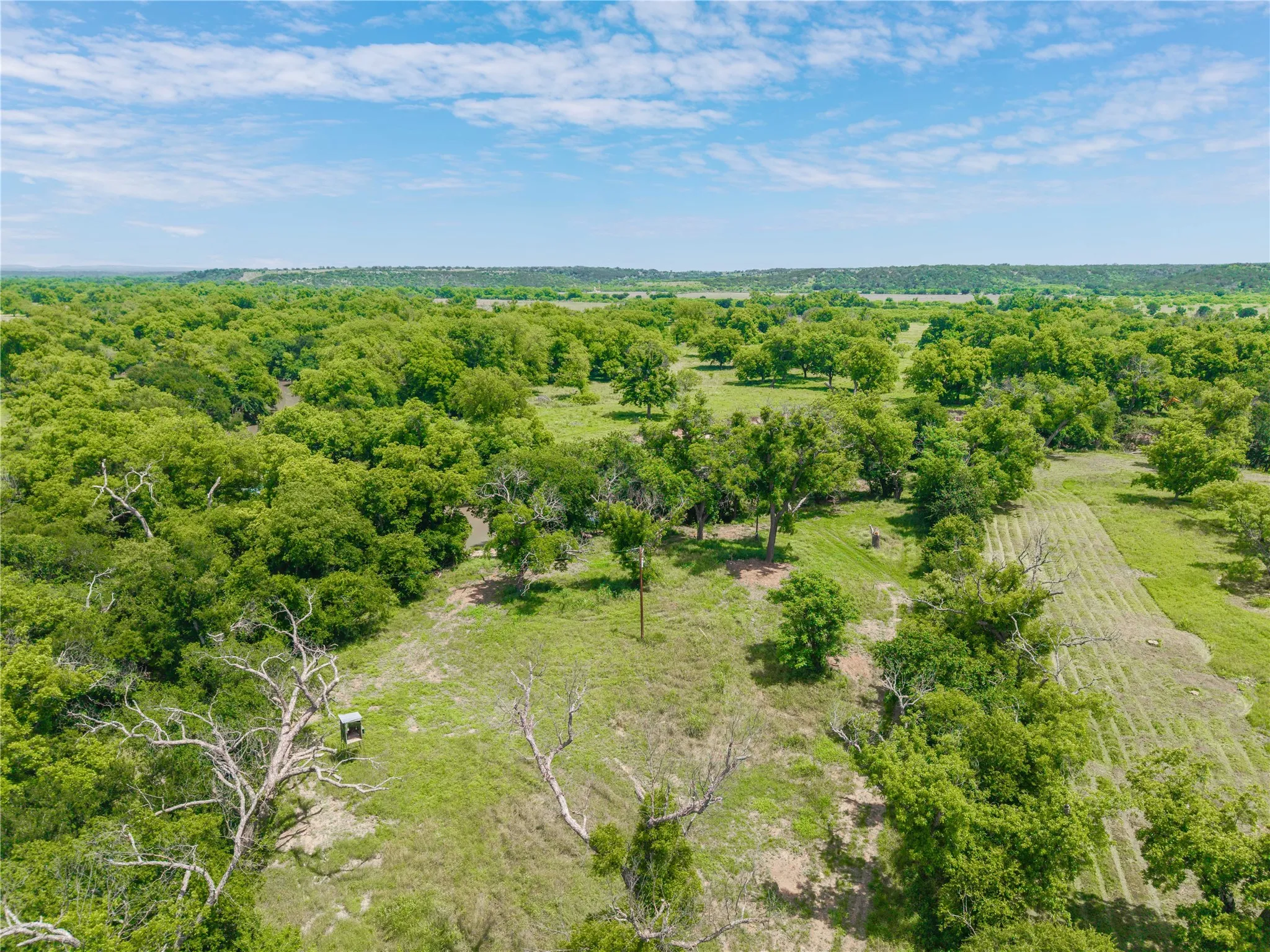 Improved Land For Sale in San Saba County , 4960 Fm 1480, San Saba, Texas 76877, 0, 0, Garage spaces, 0 Sqft, built in 0, mls#21263216, Real Estate Agent in San Saba, Homes For Sale in San Saba county, Homes For Sale in San Saba, Realtor in San Saba Texas, Real Estate Brokerage Independent Realty Texas, Luminita Cordes Realtor