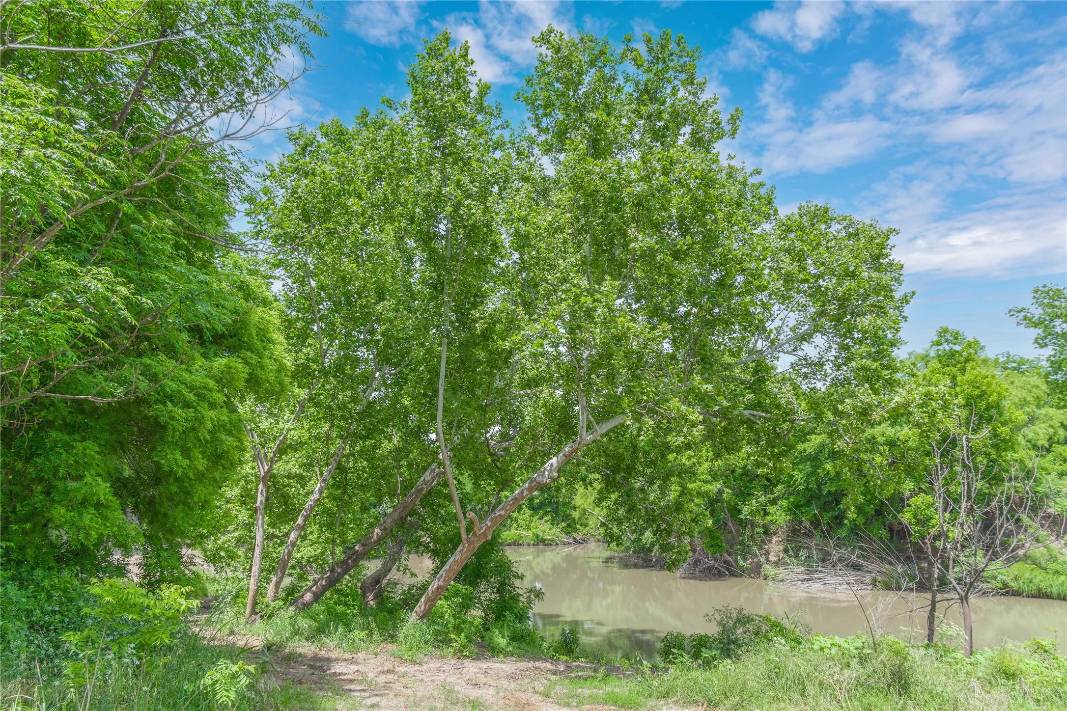 Improved Land For Sale in San Saba County , 4960 Fm 1480, San Saba, Texas 76877, 0, 0, Garage spaces, 0 Sqft, built in 0, mls#21263216, Real Estate Agent in San Saba, Homes For Sale in San Saba county, Homes For Sale in San Saba, Realtor in San Saba Texas, Real Estate Brokerage Independent Realty Texas, Luminita Cordes Realtor