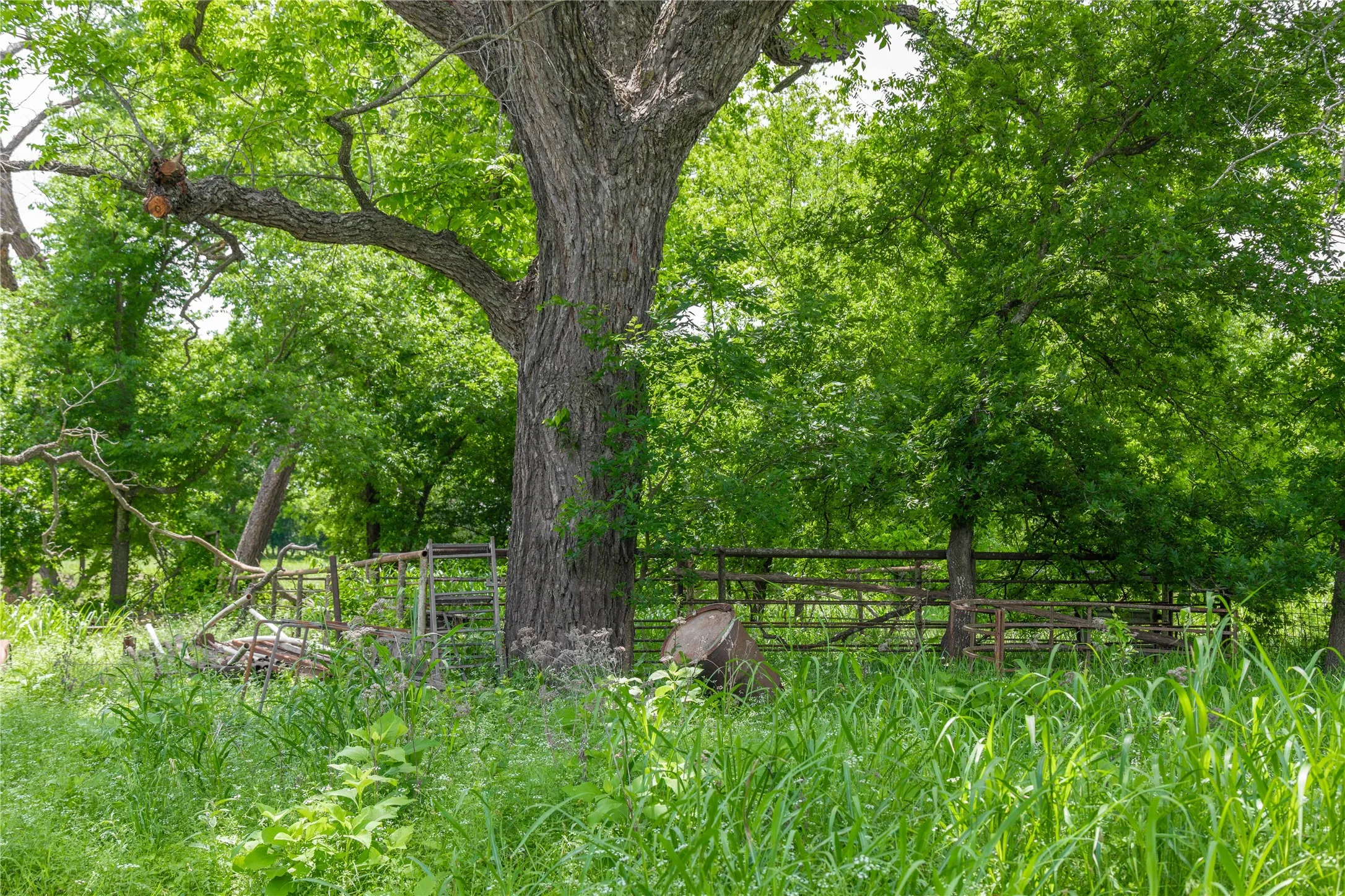Improved Land For Sale in San Saba County , 4960 Fm 1480, San Saba, Texas 76877, 0, 0, Garage spaces, 0 Sqft, built in 0, mls#21263216, Real Estate Agent in San Saba, Homes For Sale in San Saba county, Homes For Sale in San Saba, Realtor in San Saba Texas, Real Estate Brokerage Independent Realty Texas, Luminita Cordes Realtor