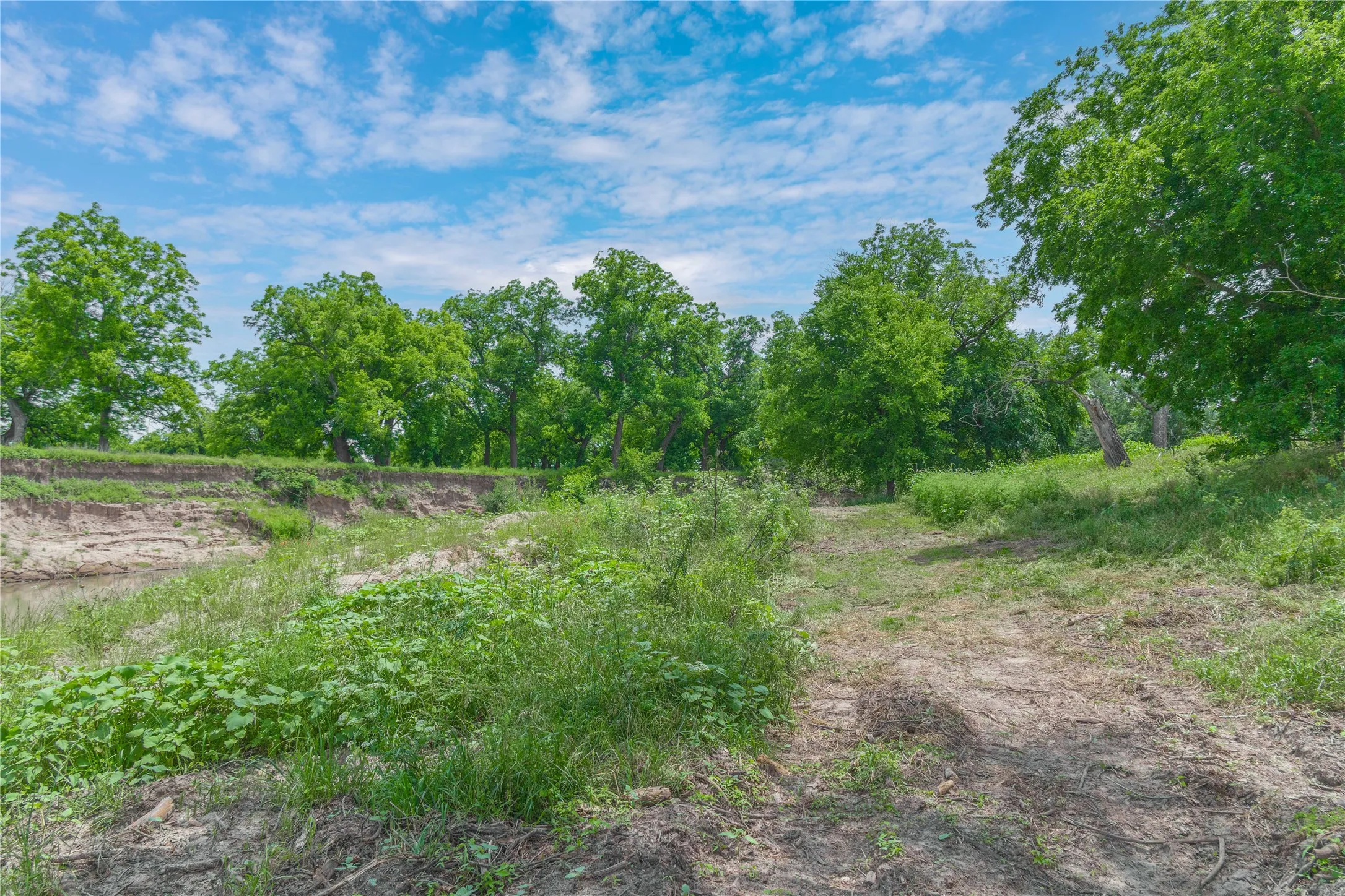 Improved Land For Sale in San Saba County , 4960 Fm 1480, San Saba, Texas 76877, 0, 0, Garage spaces, 0 Sqft, built in 0, mls#21263216, Real Estate Agent in San Saba, Homes For Sale in San Saba county, Homes For Sale in San Saba, Realtor in San Saba Texas, Real Estate Brokerage Independent Realty Texas, Luminita Cordes Realtor