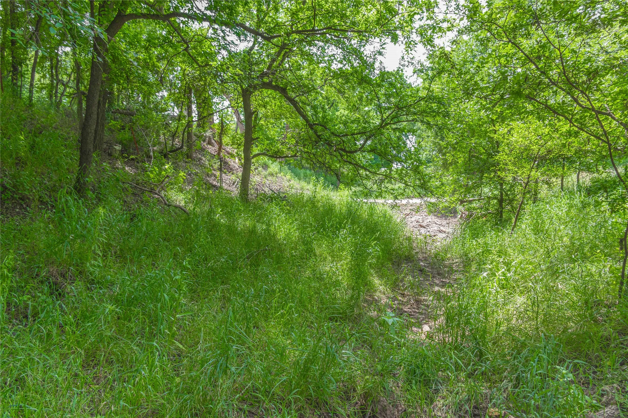 Improved Land For Sale in San Saba County , 4960 Fm 1480, San Saba, Texas 76877, 0, 0, Garage spaces, 0 Sqft, built in 0, mls#21263216, Real Estate Agent in San Saba, Homes For Sale in San Saba county, Homes For Sale in San Saba, Realtor in San Saba Texas, Real Estate Brokerage Independent Realty Texas, Luminita Cordes Realtor